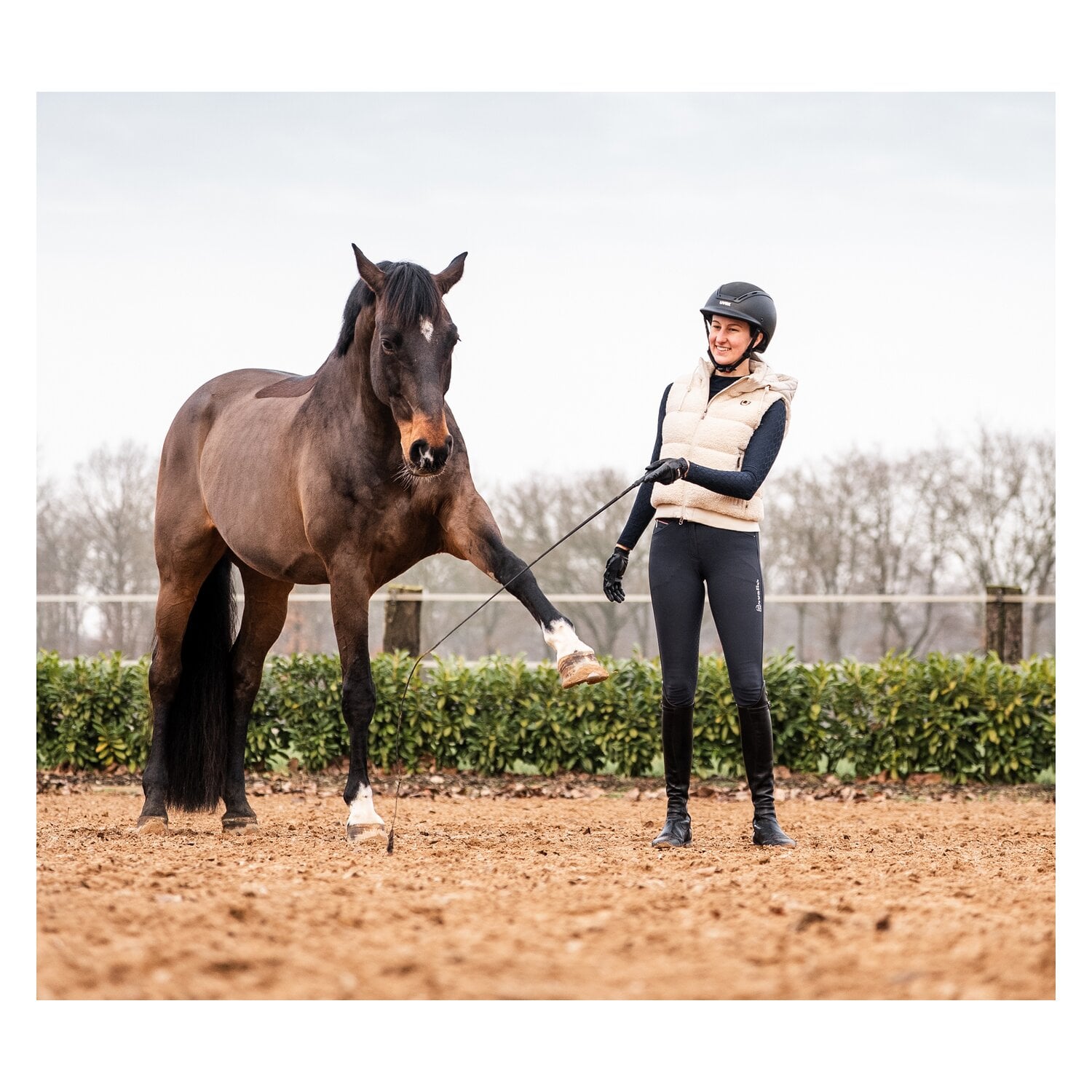 FLECK Touchiergerte EVOLUTION &ndash; Ansicht 4
