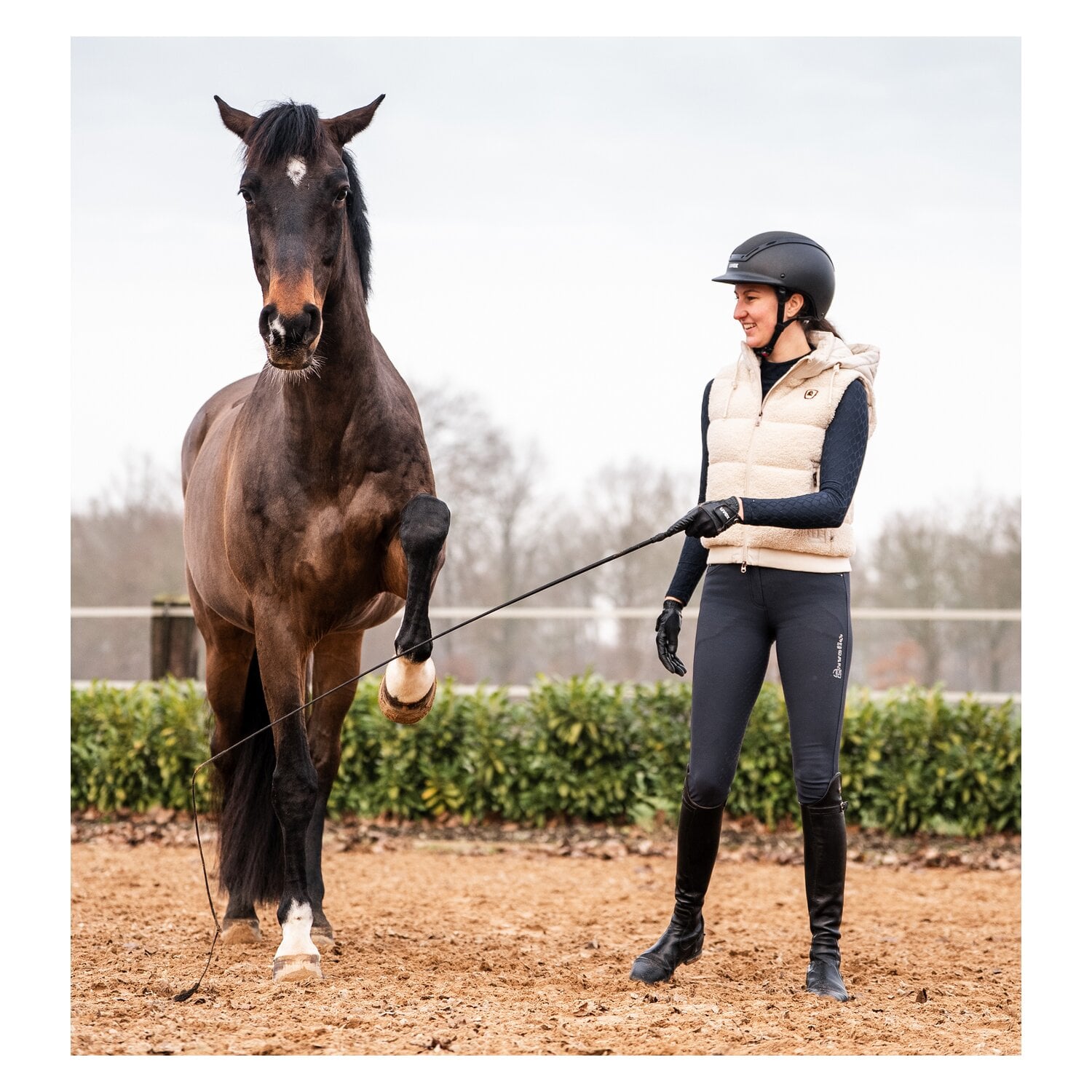 FLECK Touchiergerte EVOLUTION &ndash; Ansicht 5