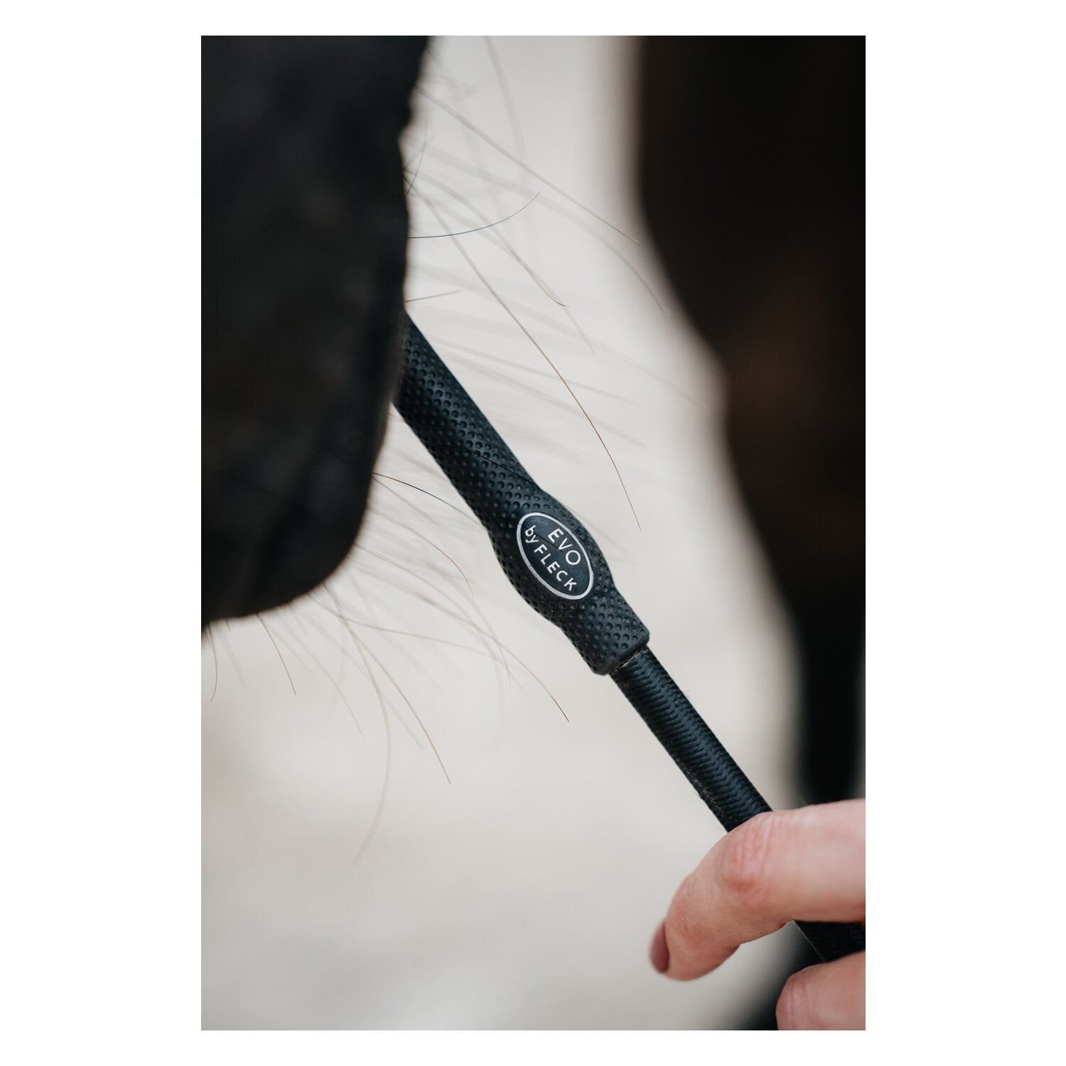 FLECK Touchiergerte EVOLUTION &ndash; Ansicht 3