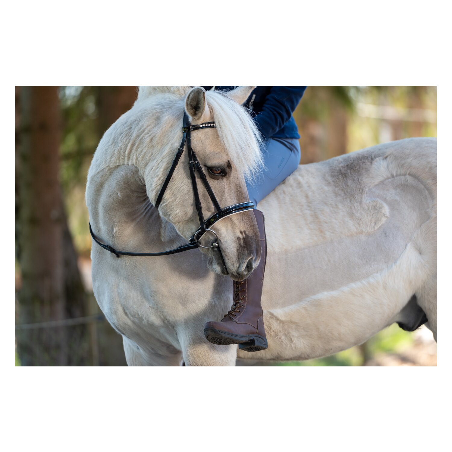 black forest Winter-Reitstiefel Stockholm – Ansicht 9