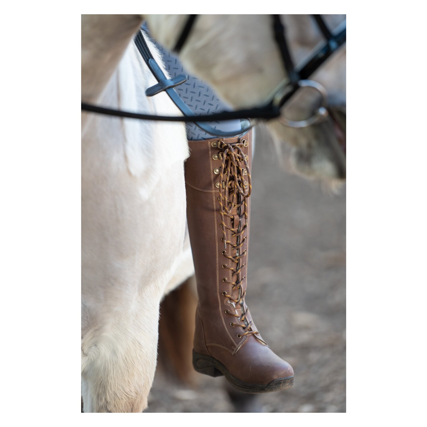 black forest Winter-Reitstiefel Stockholm – Ansicht 8