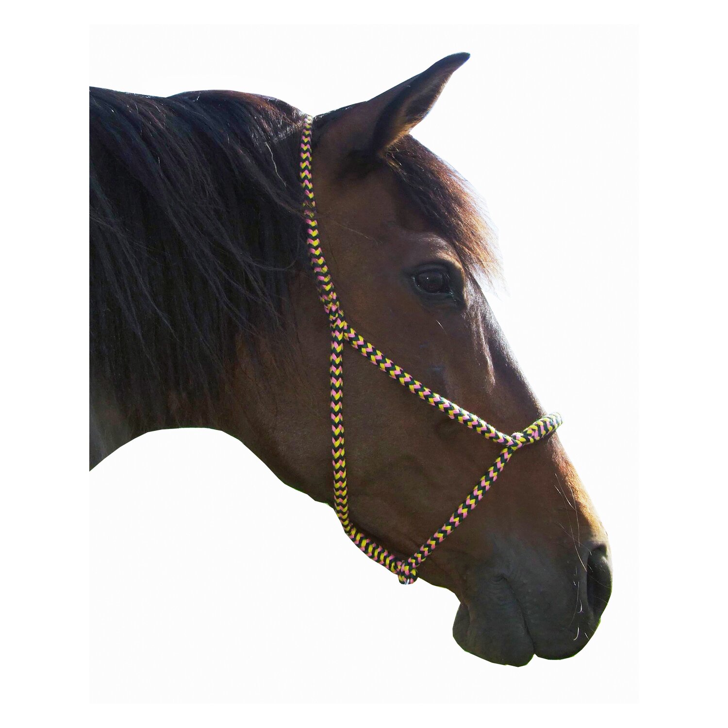 F. R. A. Halfter Sven – Ansicht 2