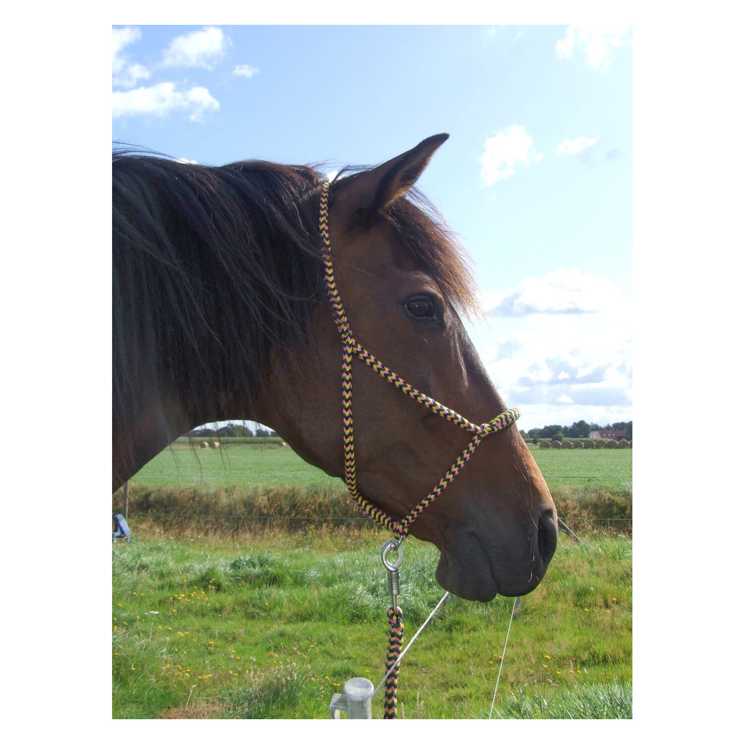 F. R. A. Halfter Sven – Ansicht 3