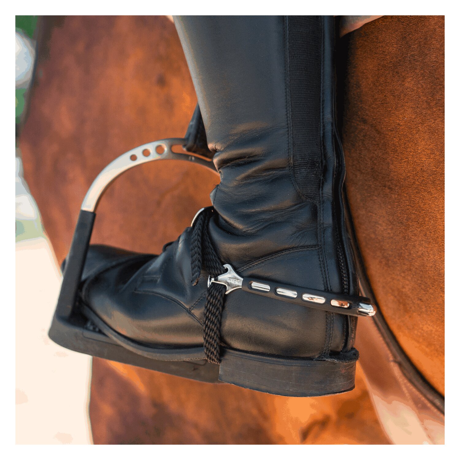 SPRENGER Sporen ULTRA fit EXTRA GRIP – Ansicht 2