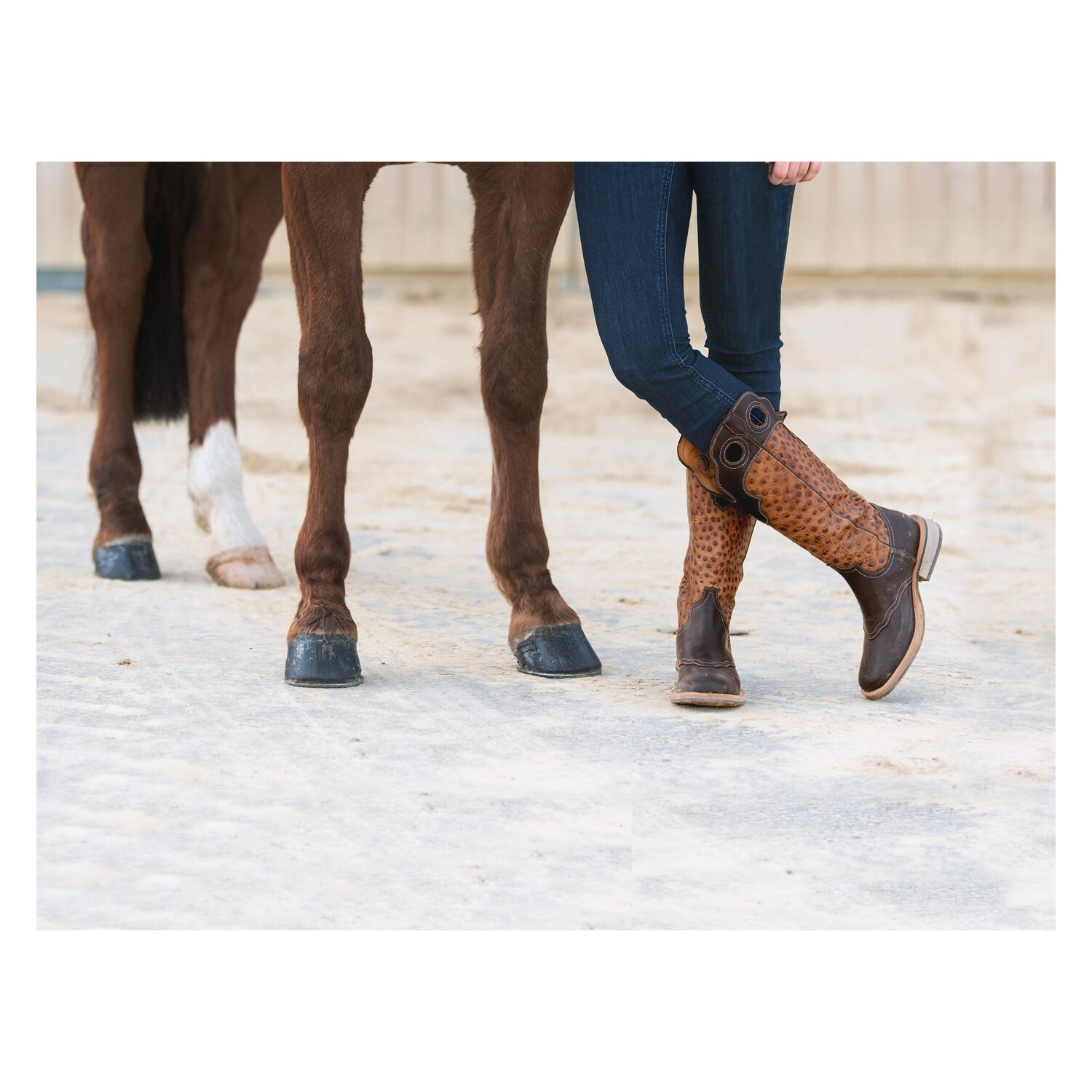 Passion 4Q Westernstiefel – Ansicht 5