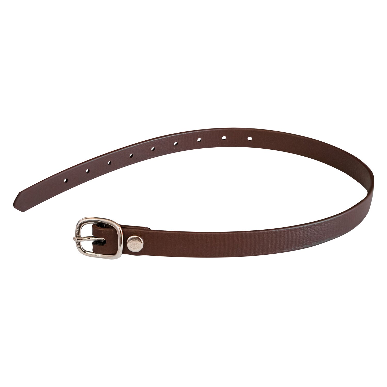 SPRENGER Sporenriemen Biothane – Ansicht 2