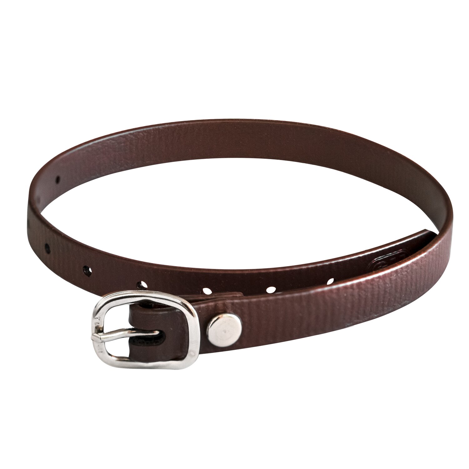 SPRENGER Sporenriemen Biothane – Ansicht 1