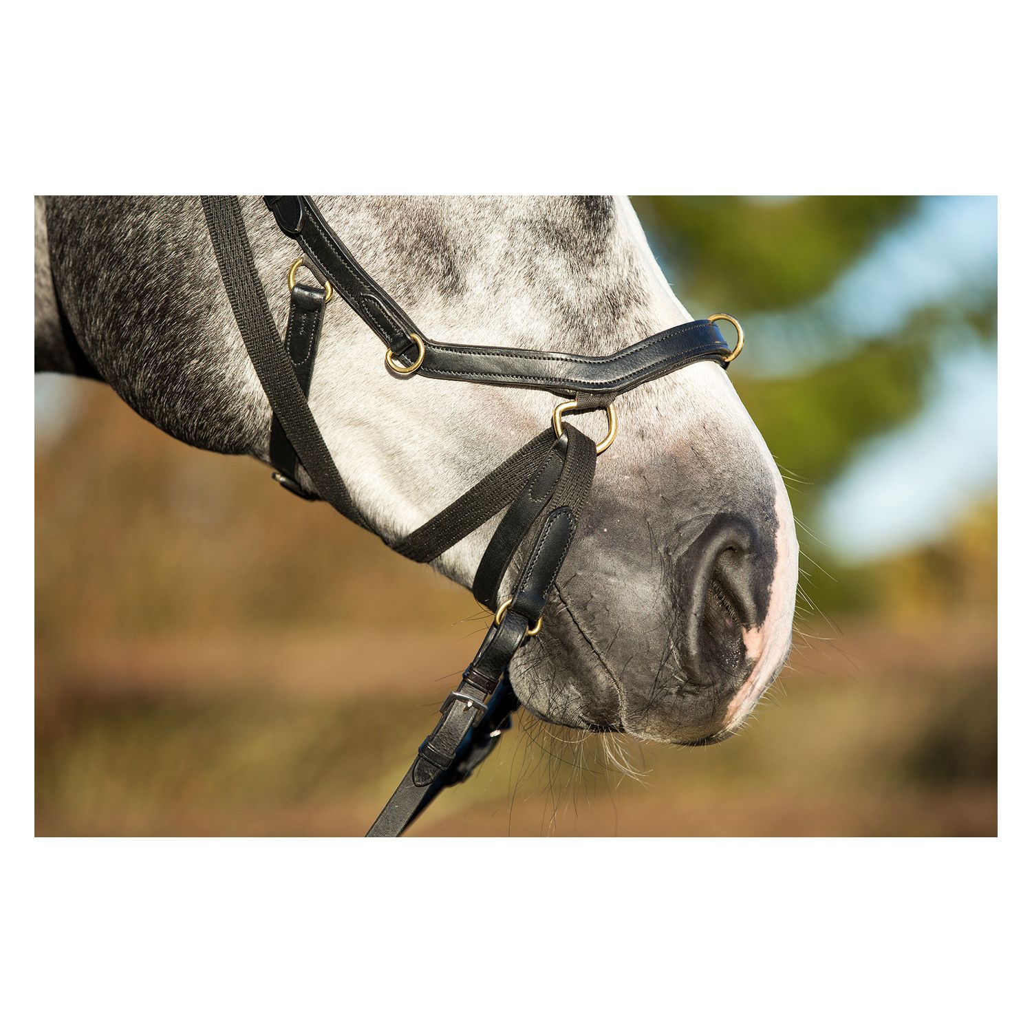 Horseware Trensenzaum RAMBO Micklem Multibridle &ndash; Ansicht 3