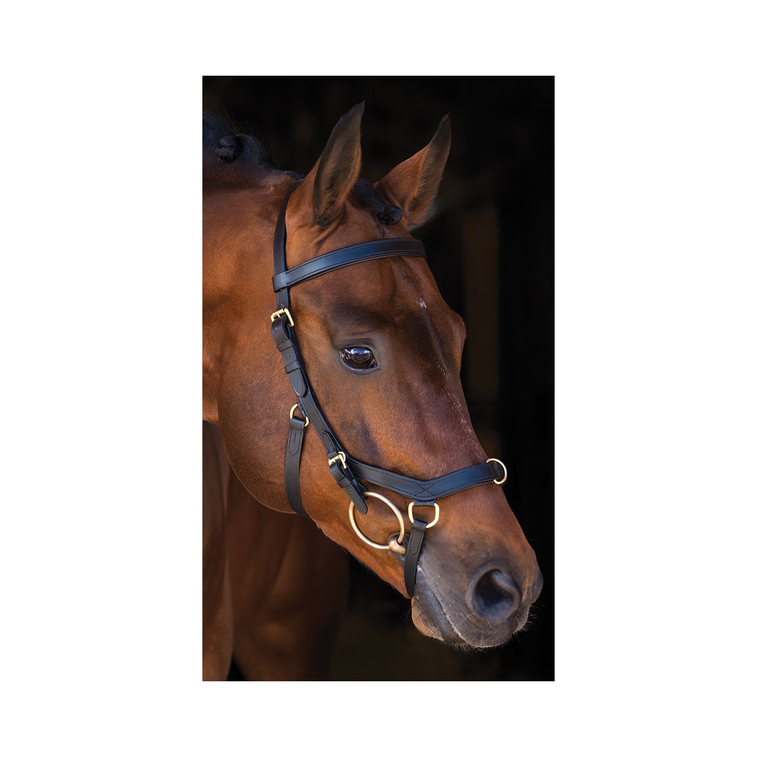 Horseware Trensenzaum RAMBO Micklem Multibridle &ndash; Ansicht 1
