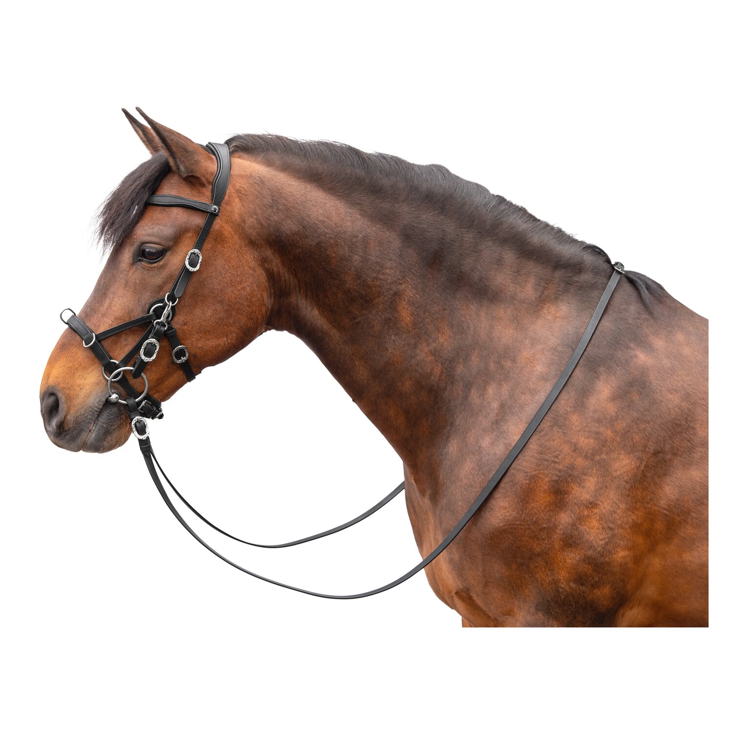 SIGNUM Sidepull Conde mit Lederzügeln – Ansicht 3