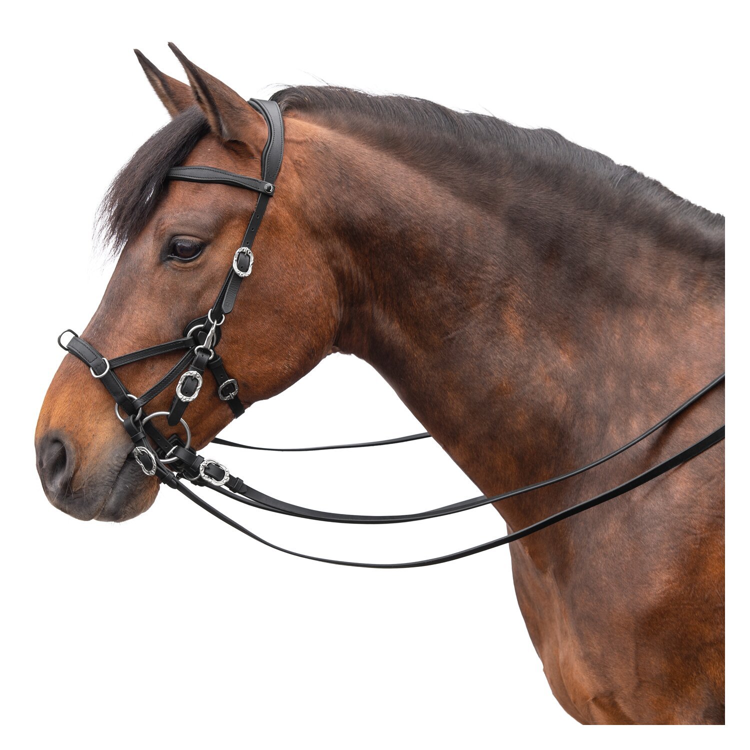 SIGNUM Sidepull Conde mit Lederzügeln – Ansicht 5