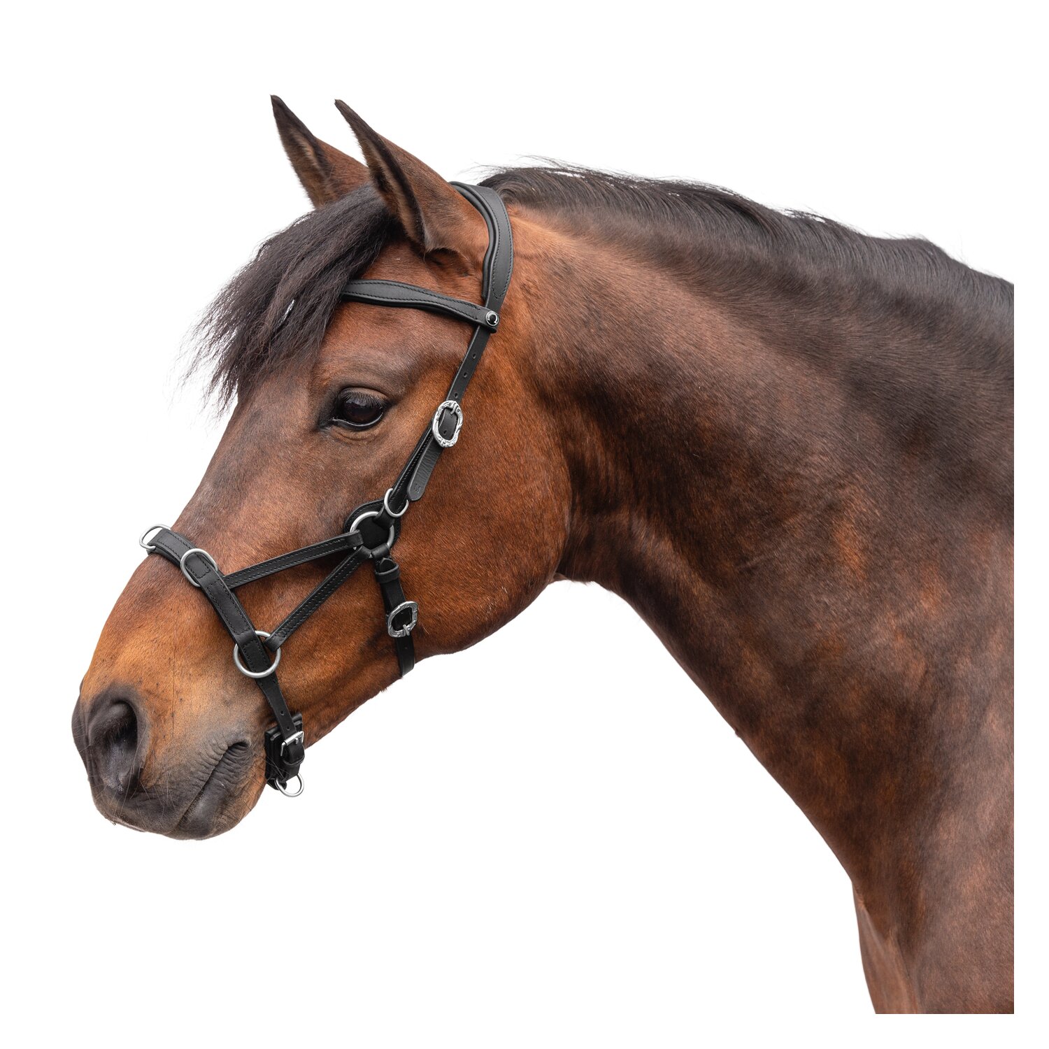 SIGNUM Sidepull Conde mit Lederzügeln – Ansicht 1