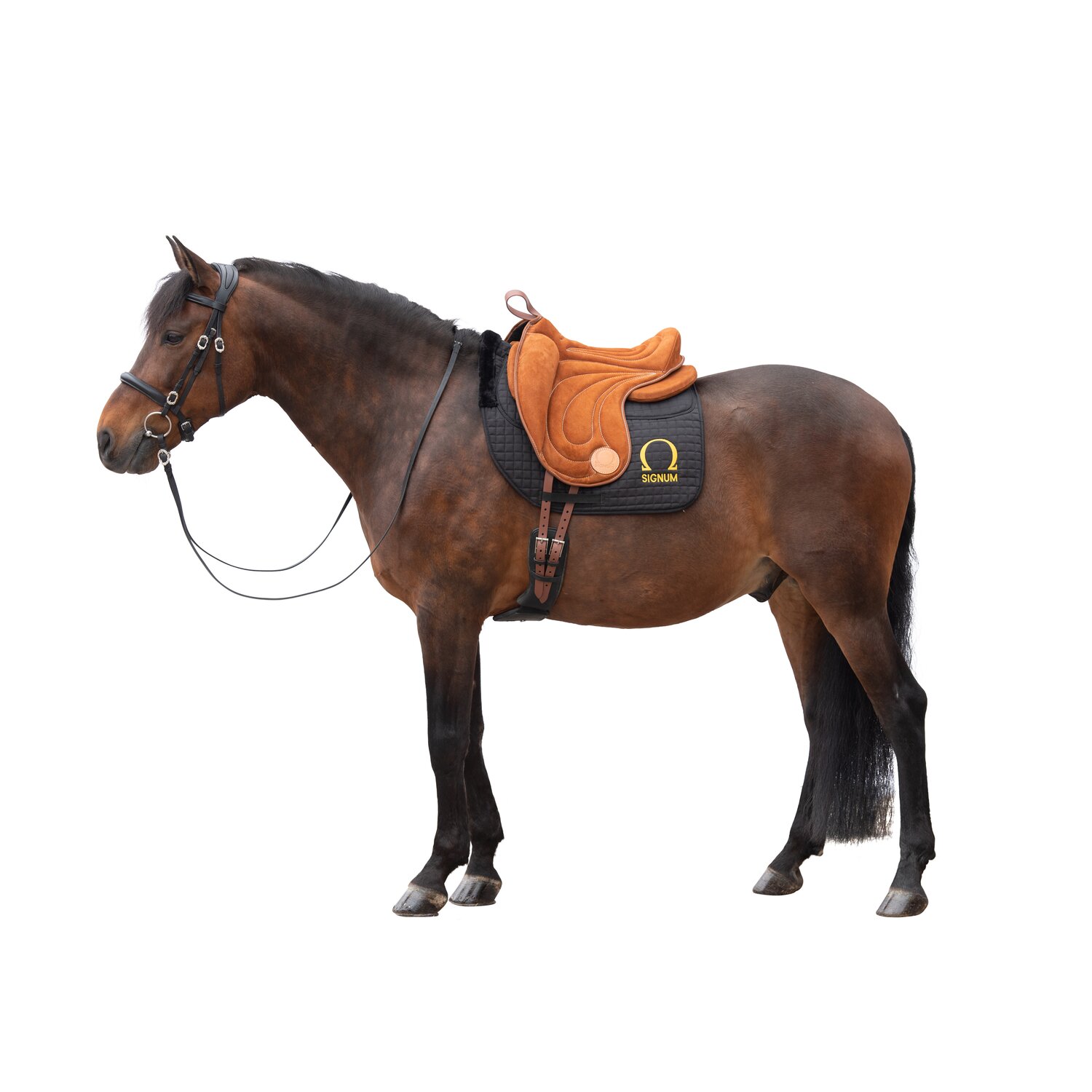 SIGNUM Omega Innovation Reitpad Dressage &ndash; Ansicht 4