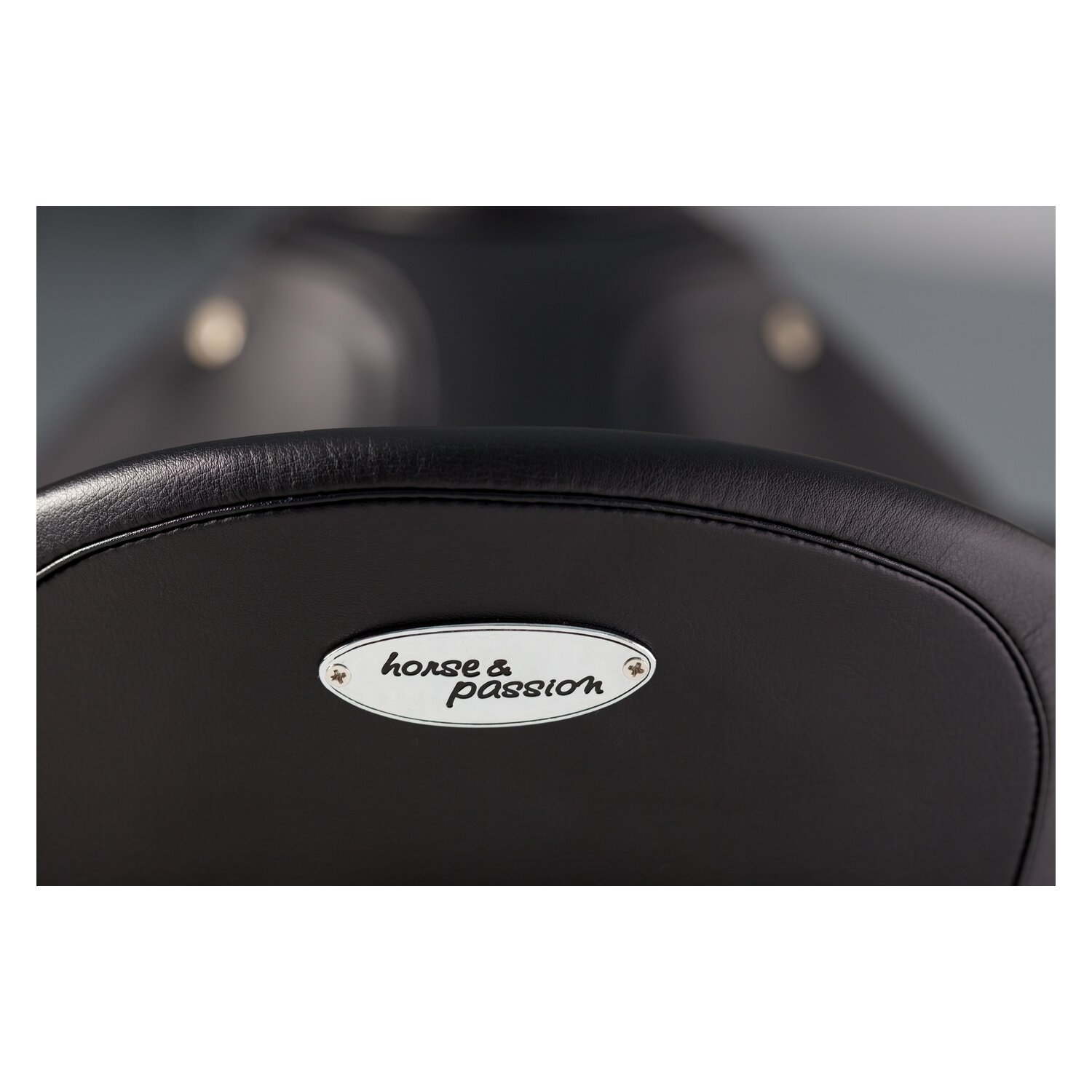 horse & passion Dressursattel Passion One – Ansicht 2