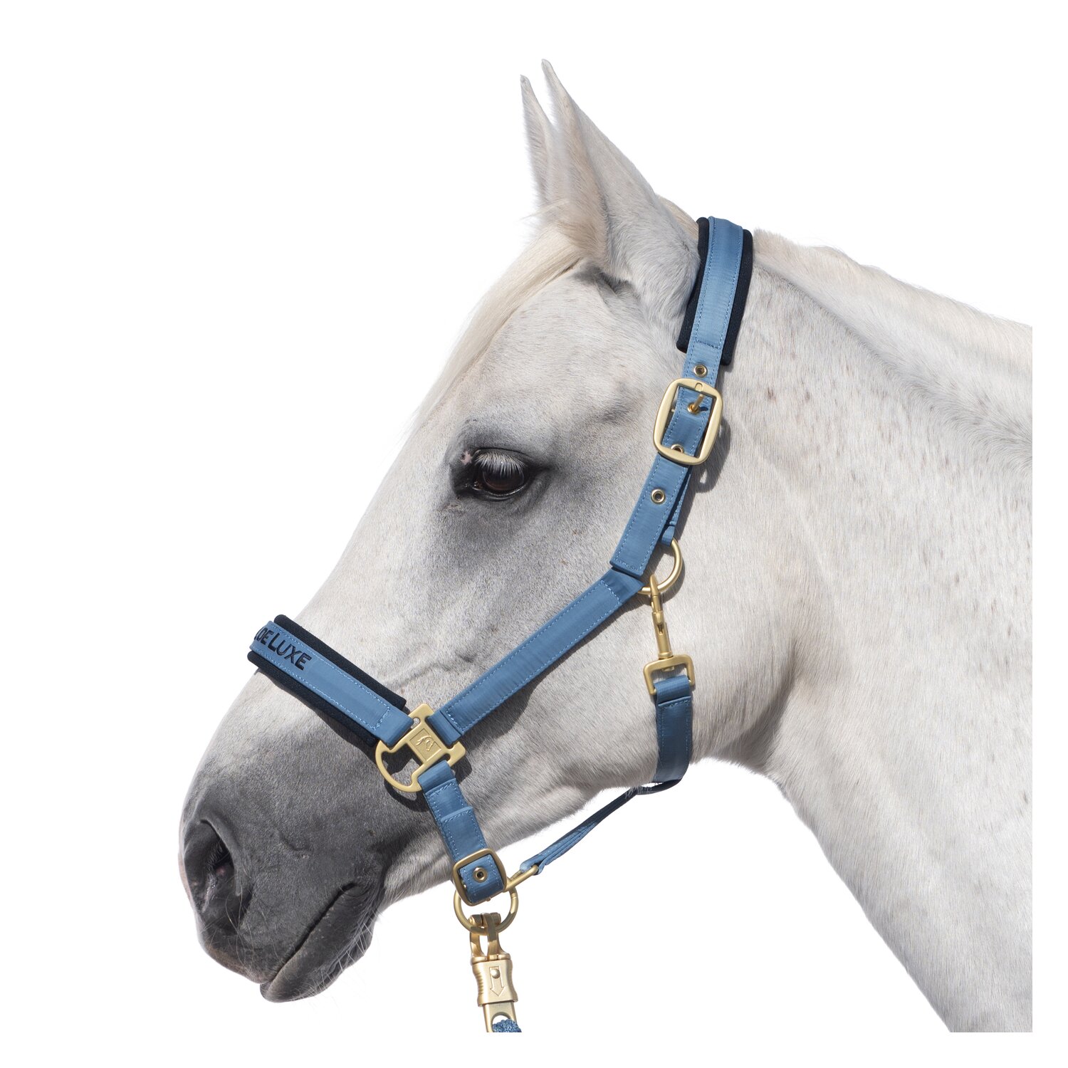 Cheval de Luxe Halfter – Ansicht 1