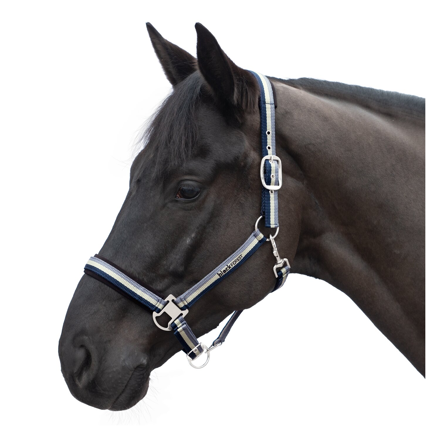 black forest Halfter – Ansicht 1