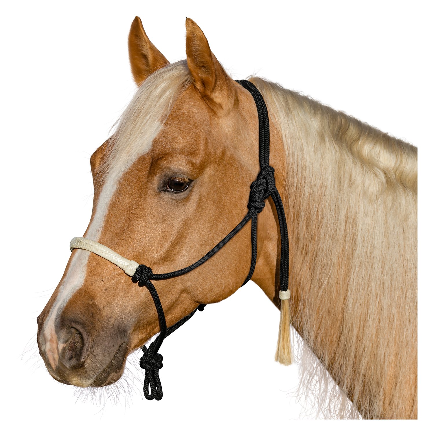 L-pro West Knotenhalfter mit Rohhaut – Ansicht 1