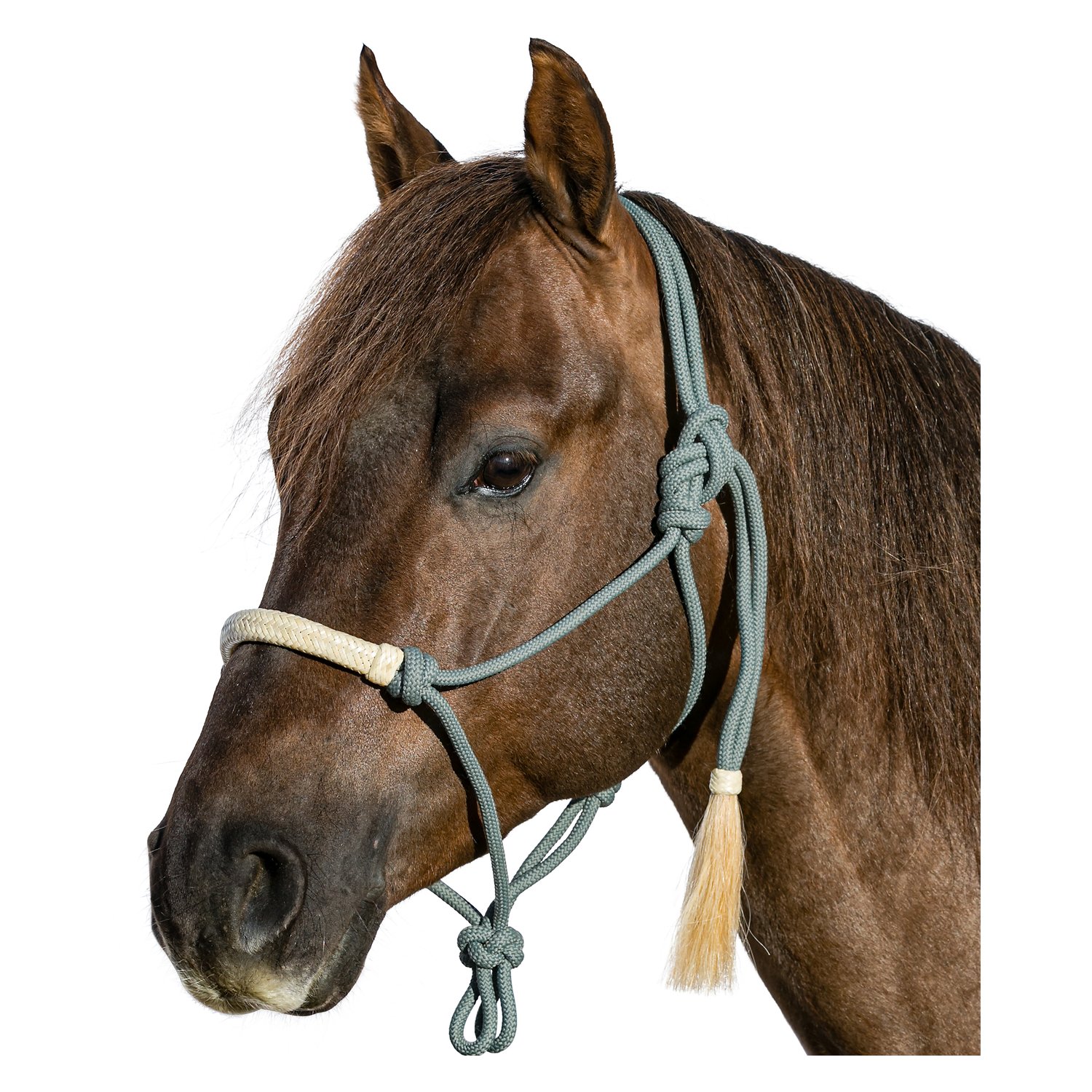 L-pro West Knotenhalfter mit Rohhaut – Ansicht 1