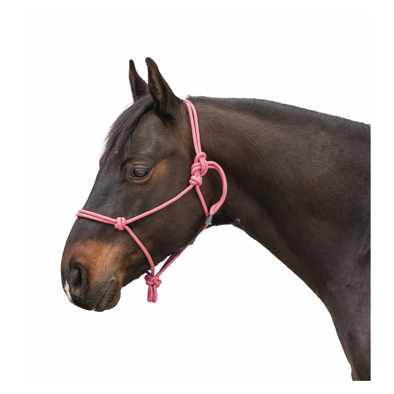 Passion 4Q Knotenhalfter – Ansicht 1