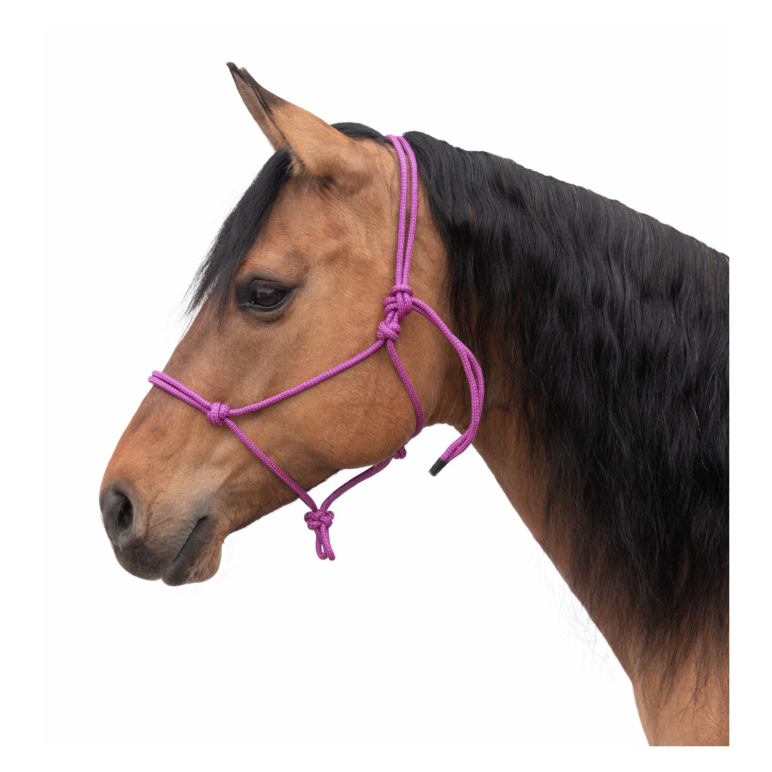 Passion 4Q Knotenhalfter – Ansicht 1