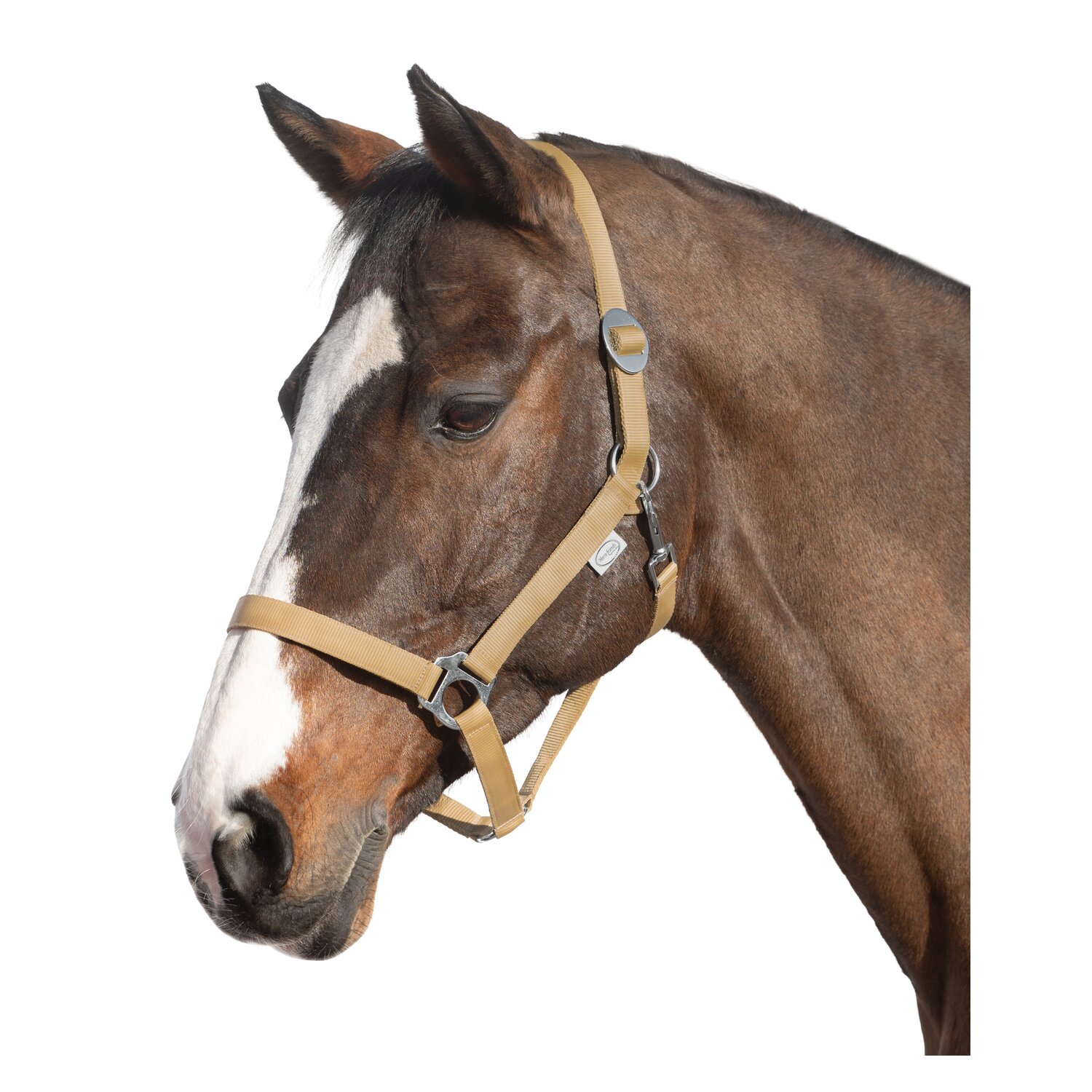 Loesdau Webhalfter – Ansicht 1