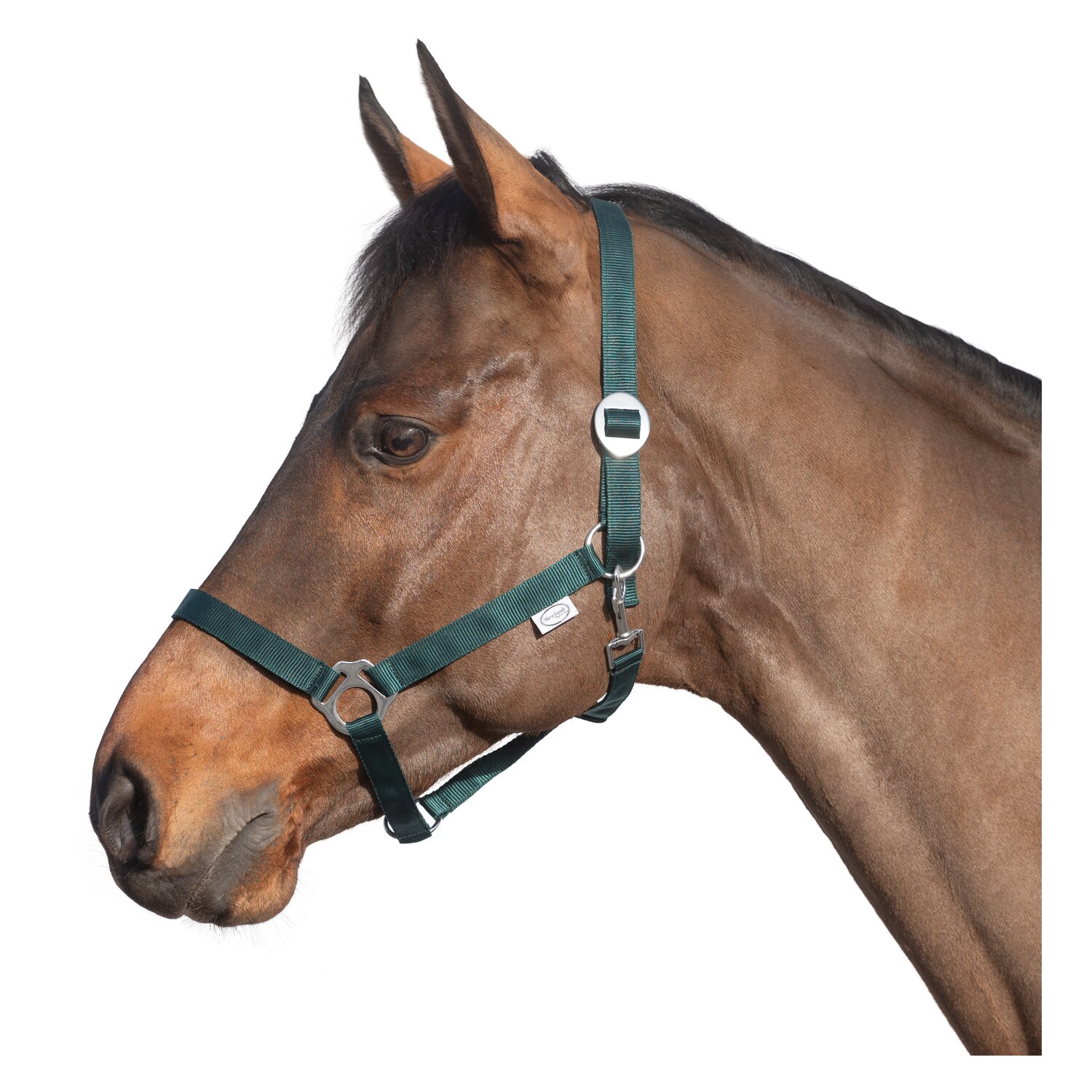 Loesdau Webhalfter – Ansicht 1