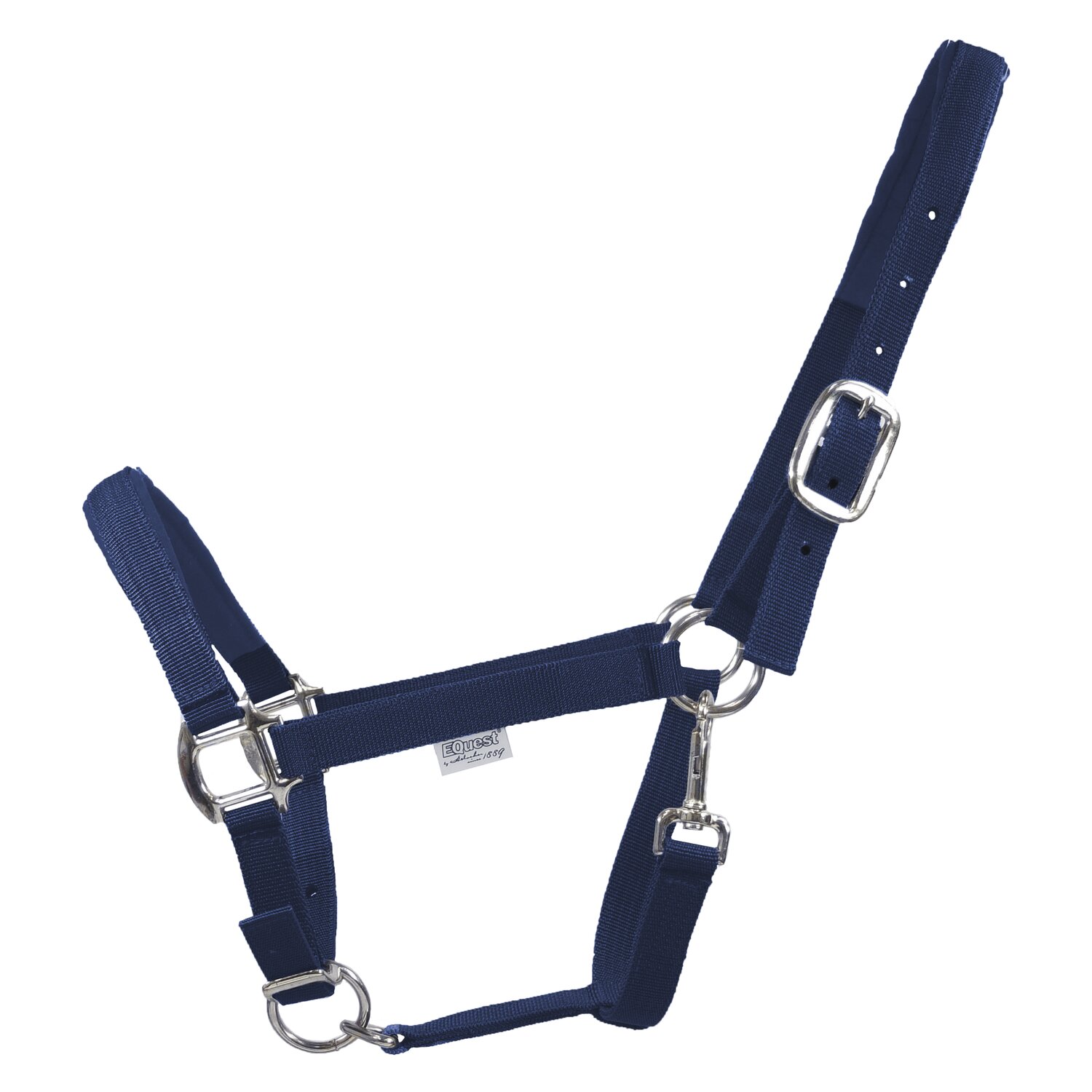 EQUEST Halfter Dual Plus – Ansicht 1