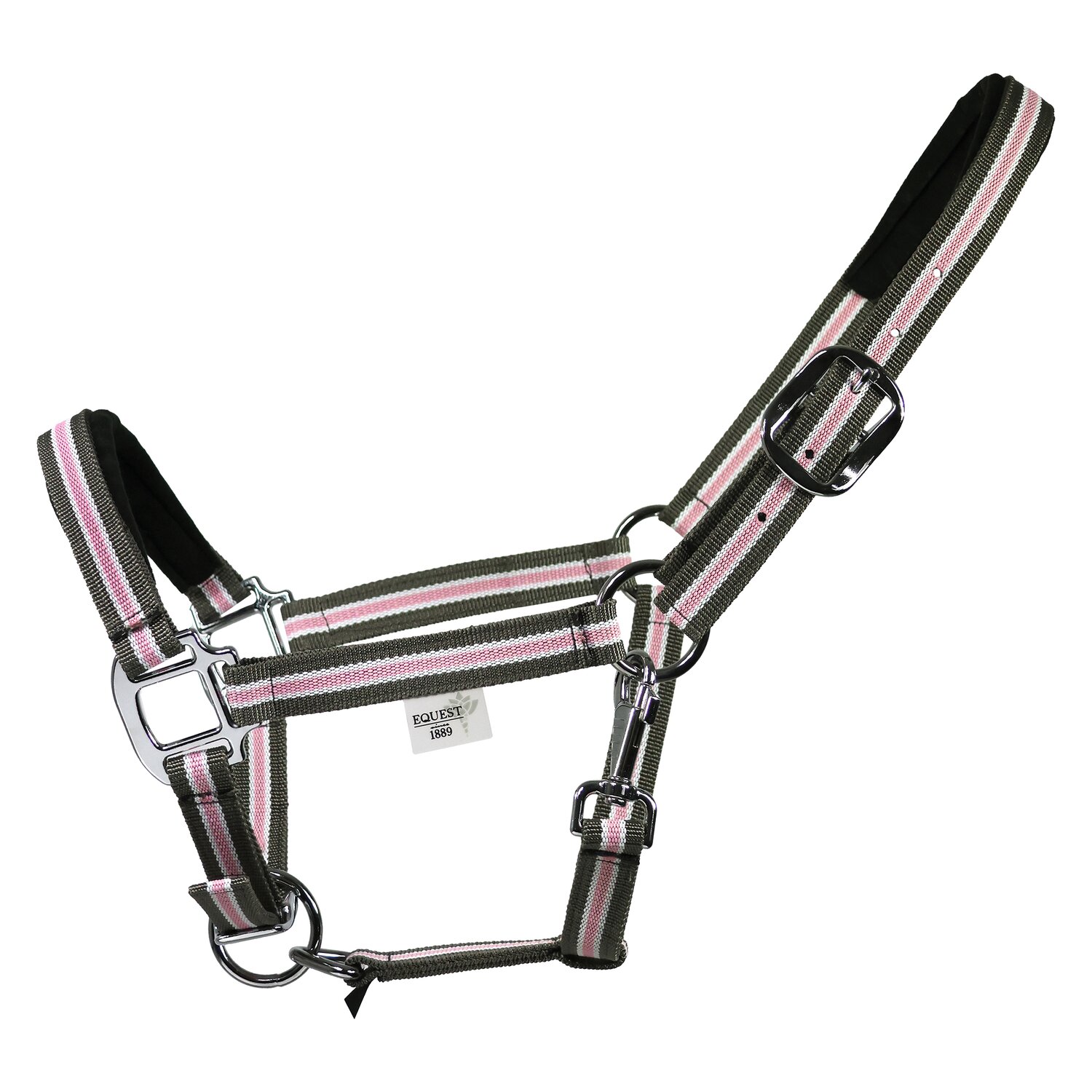 EQUEST Halfter Dual Plus – Ansicht 1