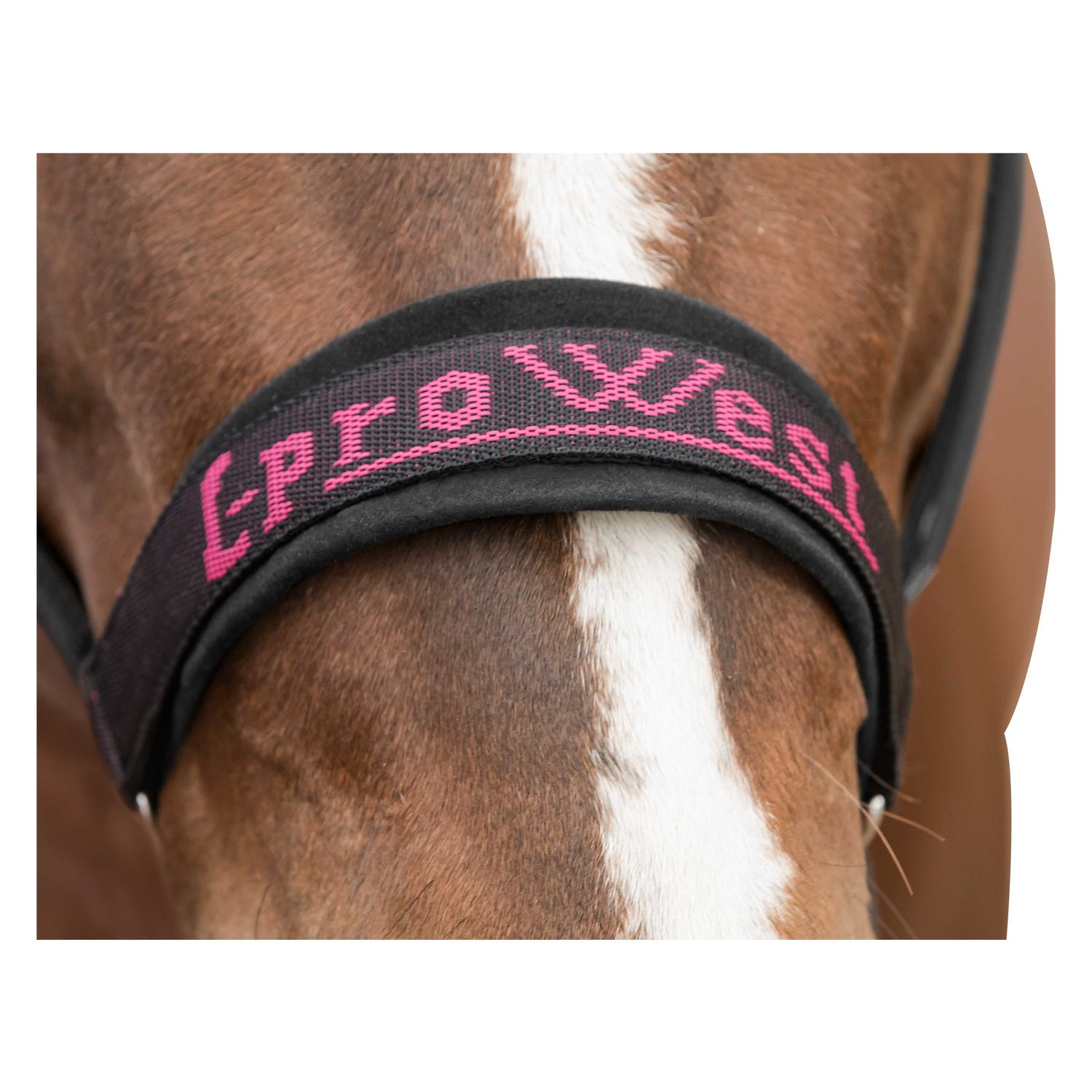 L-pro West Halfter &ndash; Ansicht 2