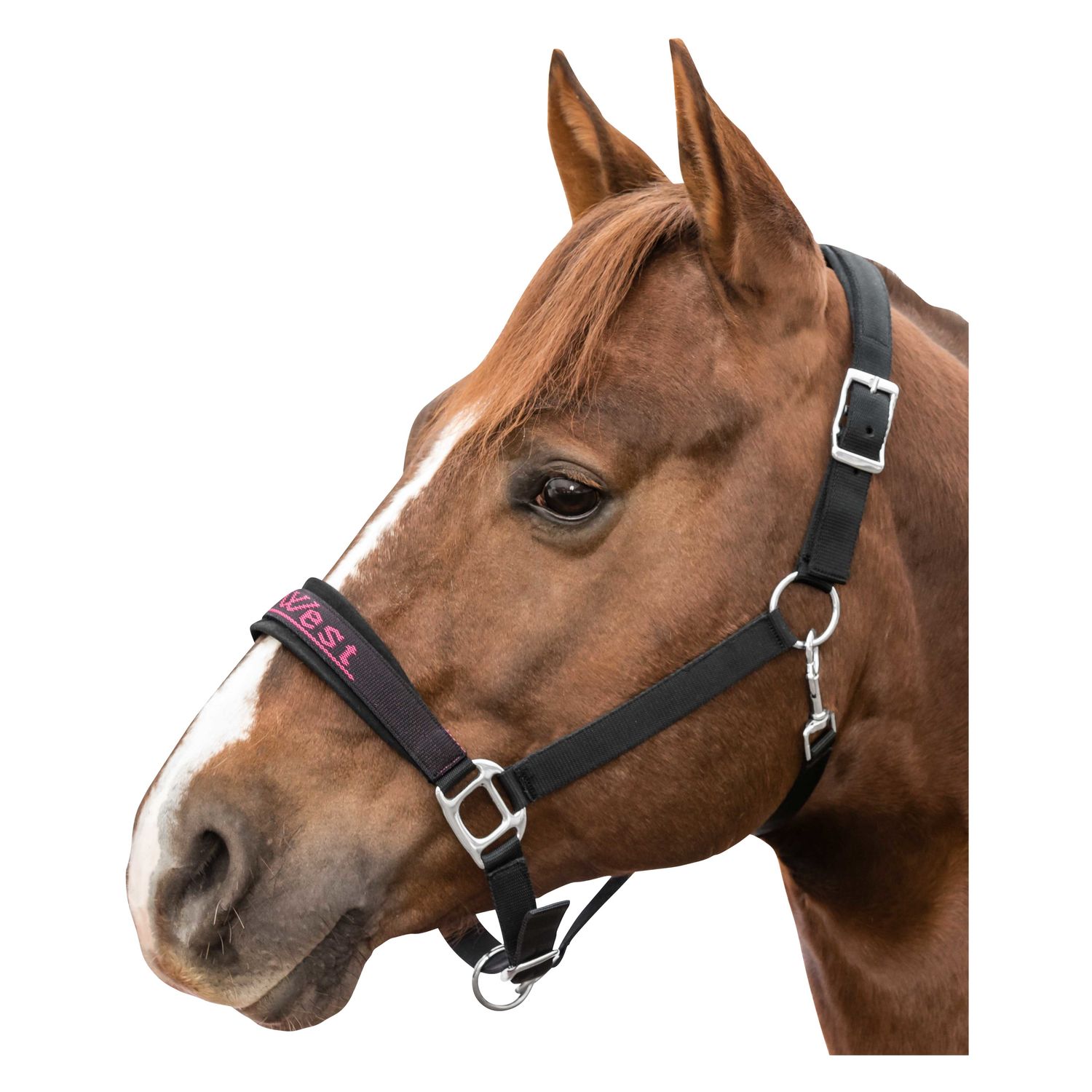 L-pro West Halfter &ndash; Ansicht 1