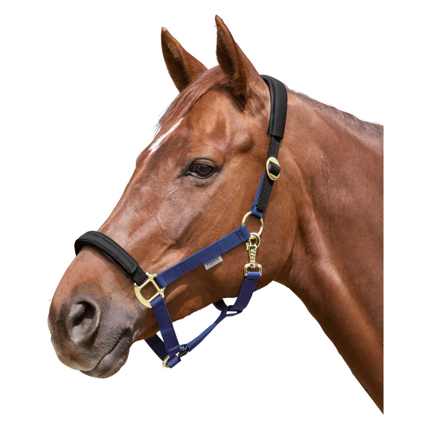 EQUEST Halfter Equi-Stretch – Ansicht 1