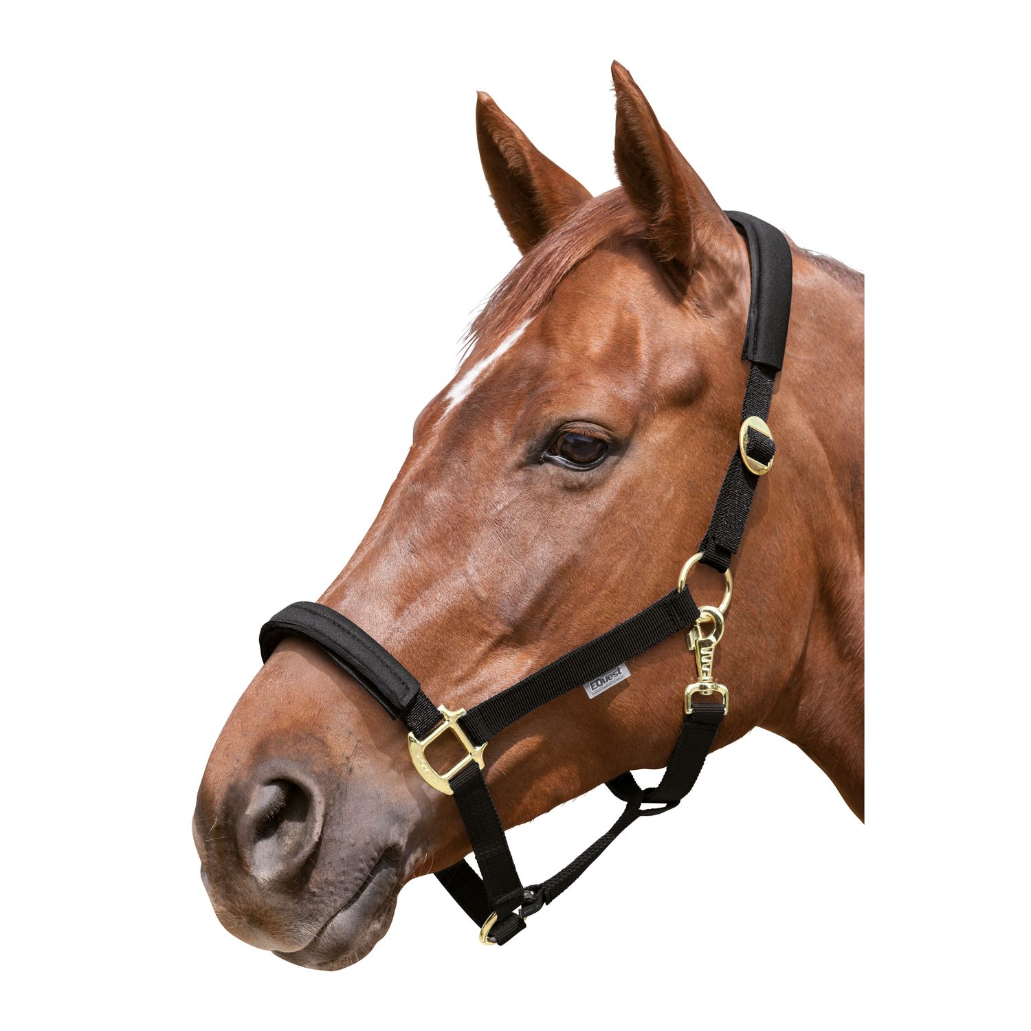 EQUEST Halfter Equi-Stretch – Ansicht 1