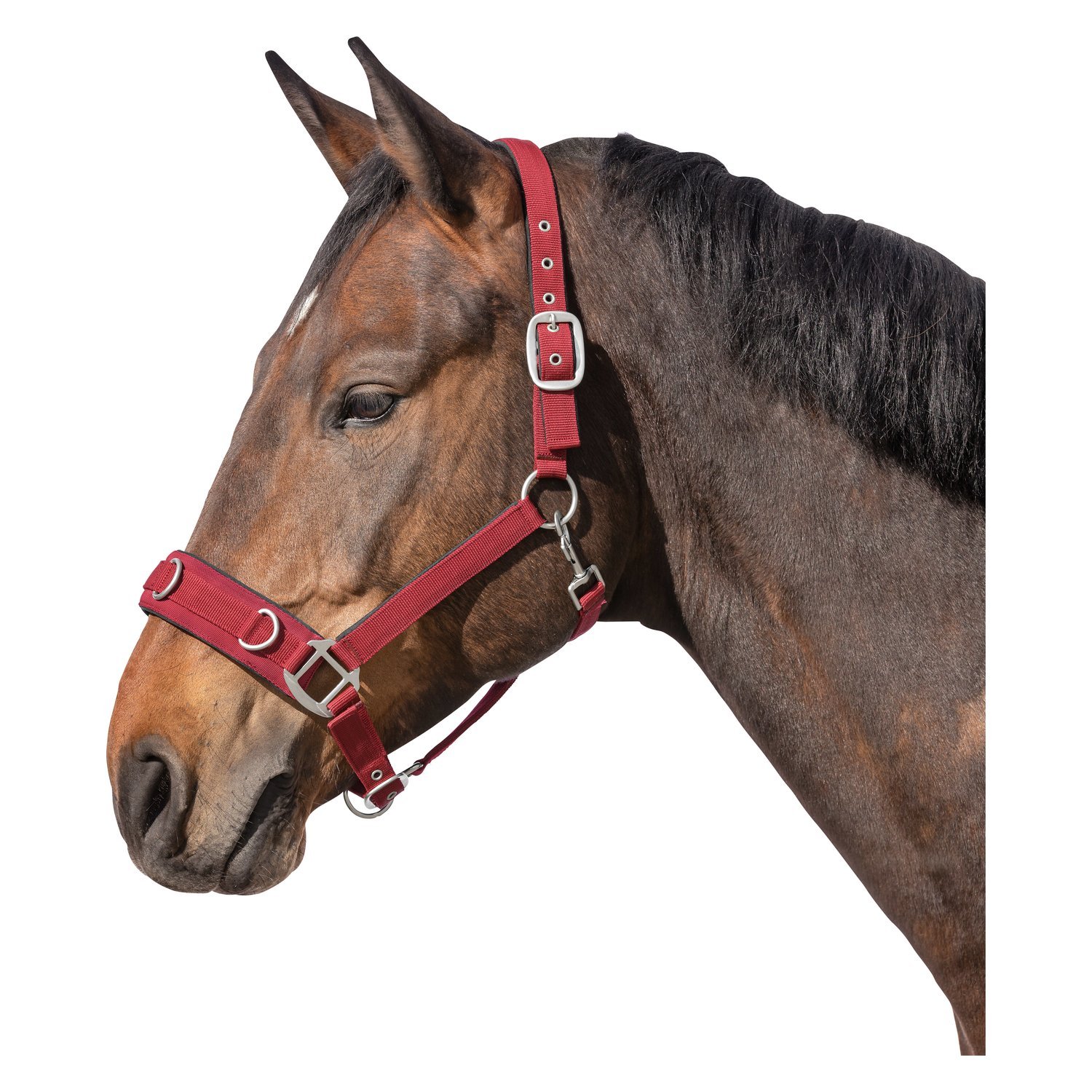 Horse-friends Longier- und Stallhalfter – Ansicht 1