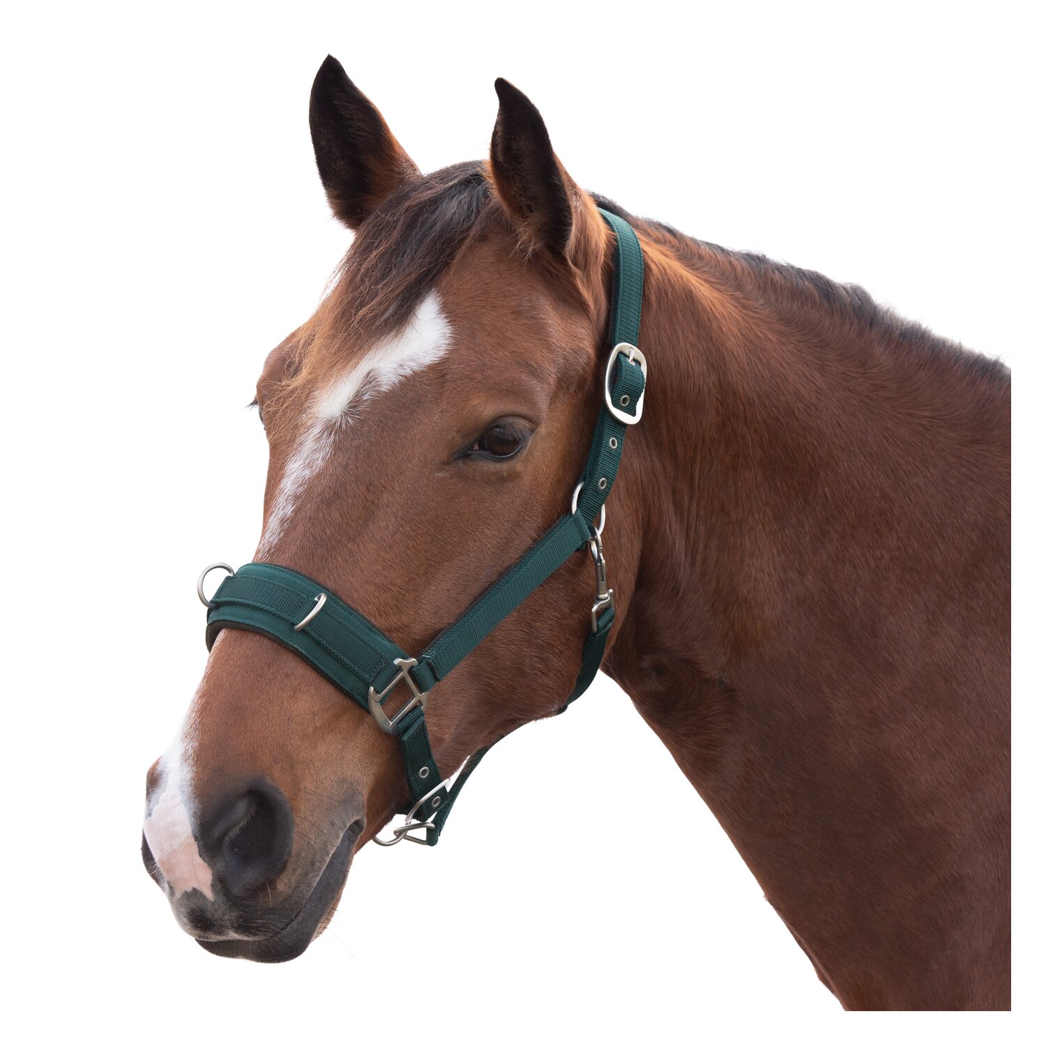 Horse-friends Longier- und Stallhalfter – Ansicht 1