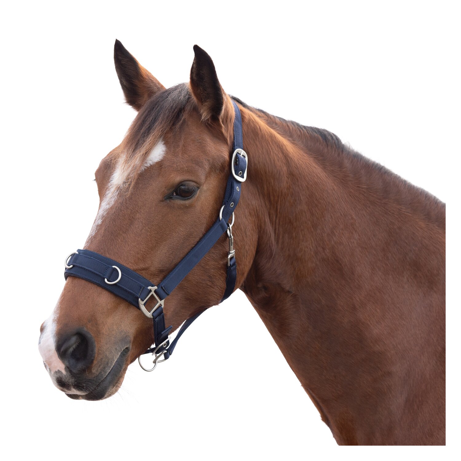 Horse-friends Longier- und Stallhalfter – Ansicht 1