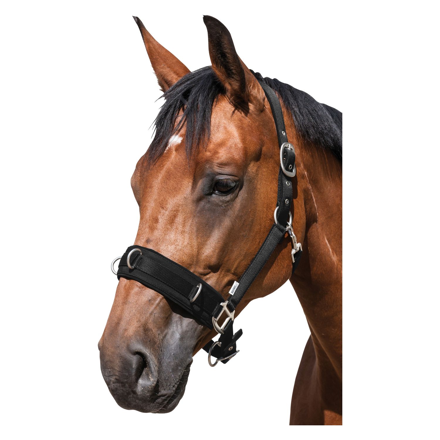 Horse-friends Longier- und Stallhalfter – Ansicht 3