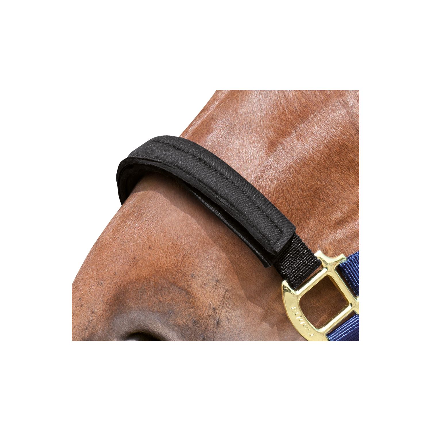 EQUEST Ersatzbezug für Equi-Stretch Halfter – Ansicht 1