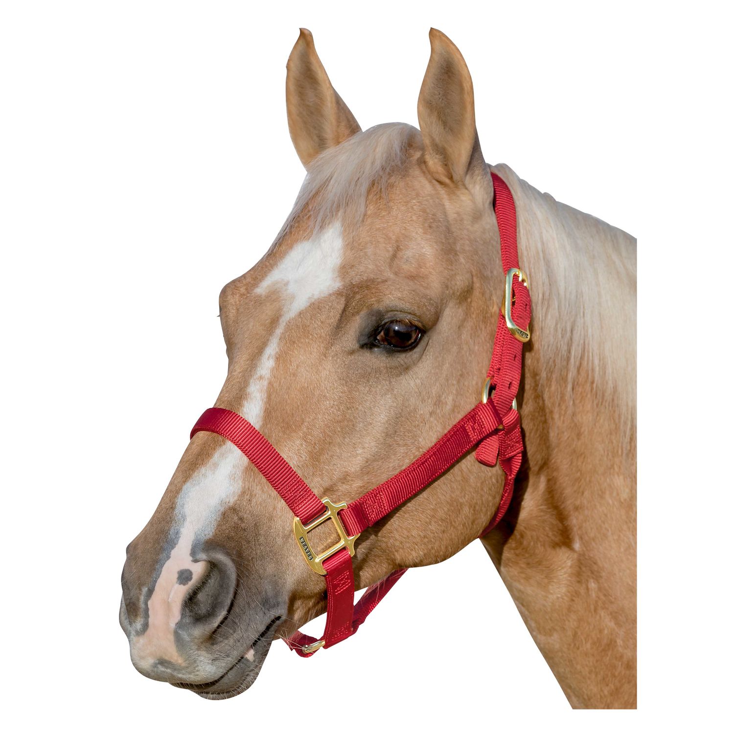 WEAVER LEATHER Halfter Original Non-Adjustable – Ansicht 2