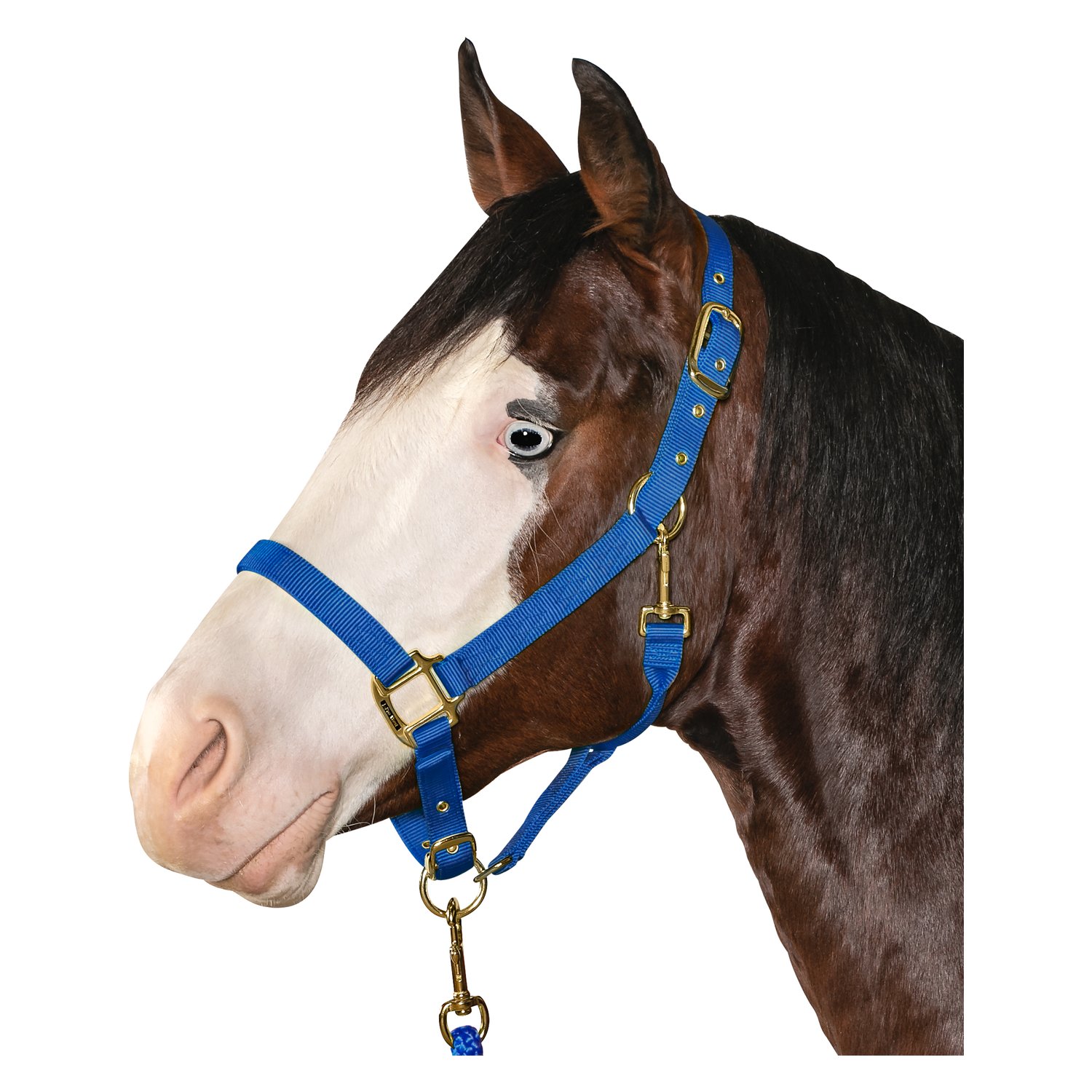 L-pro West Halfter mit Messingbeschlägen – Ansicht 1