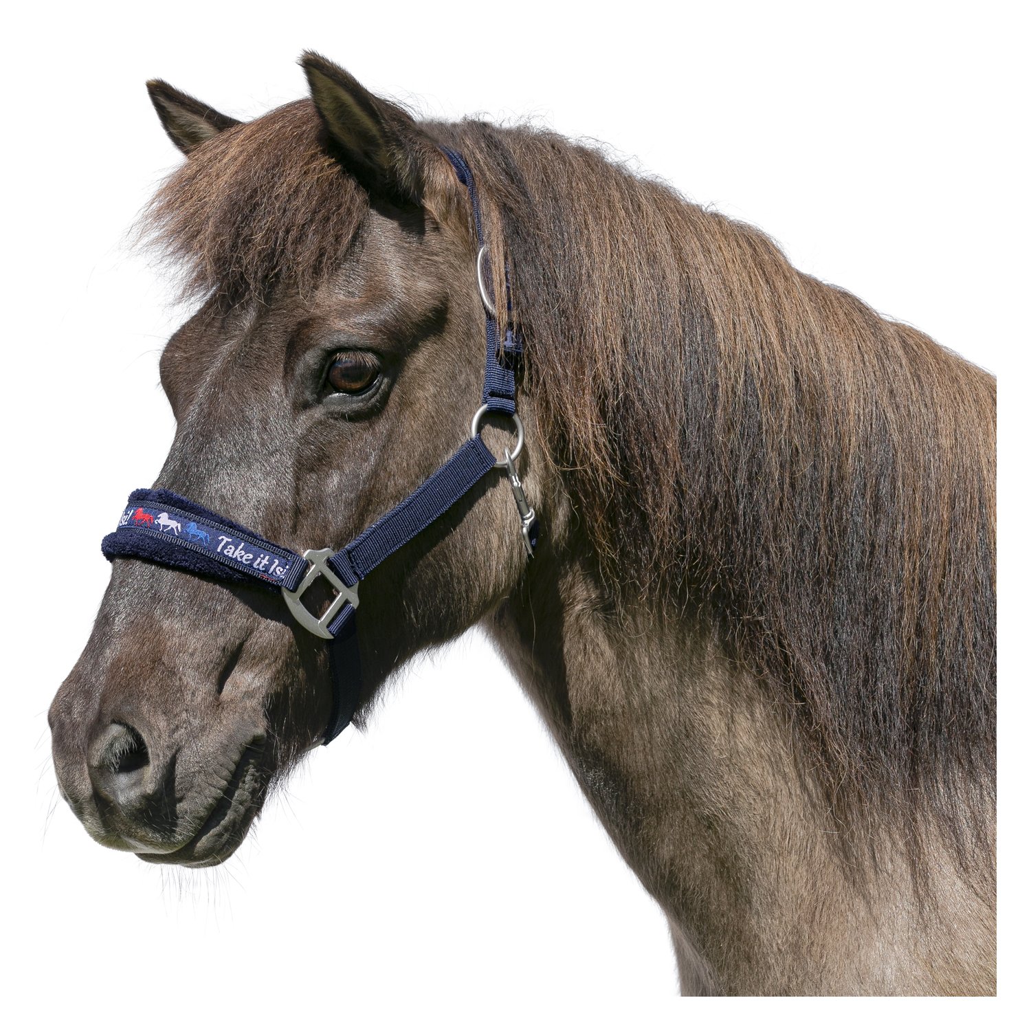 Horse-friends Webhalfter Take it Isi – Ansicht 1