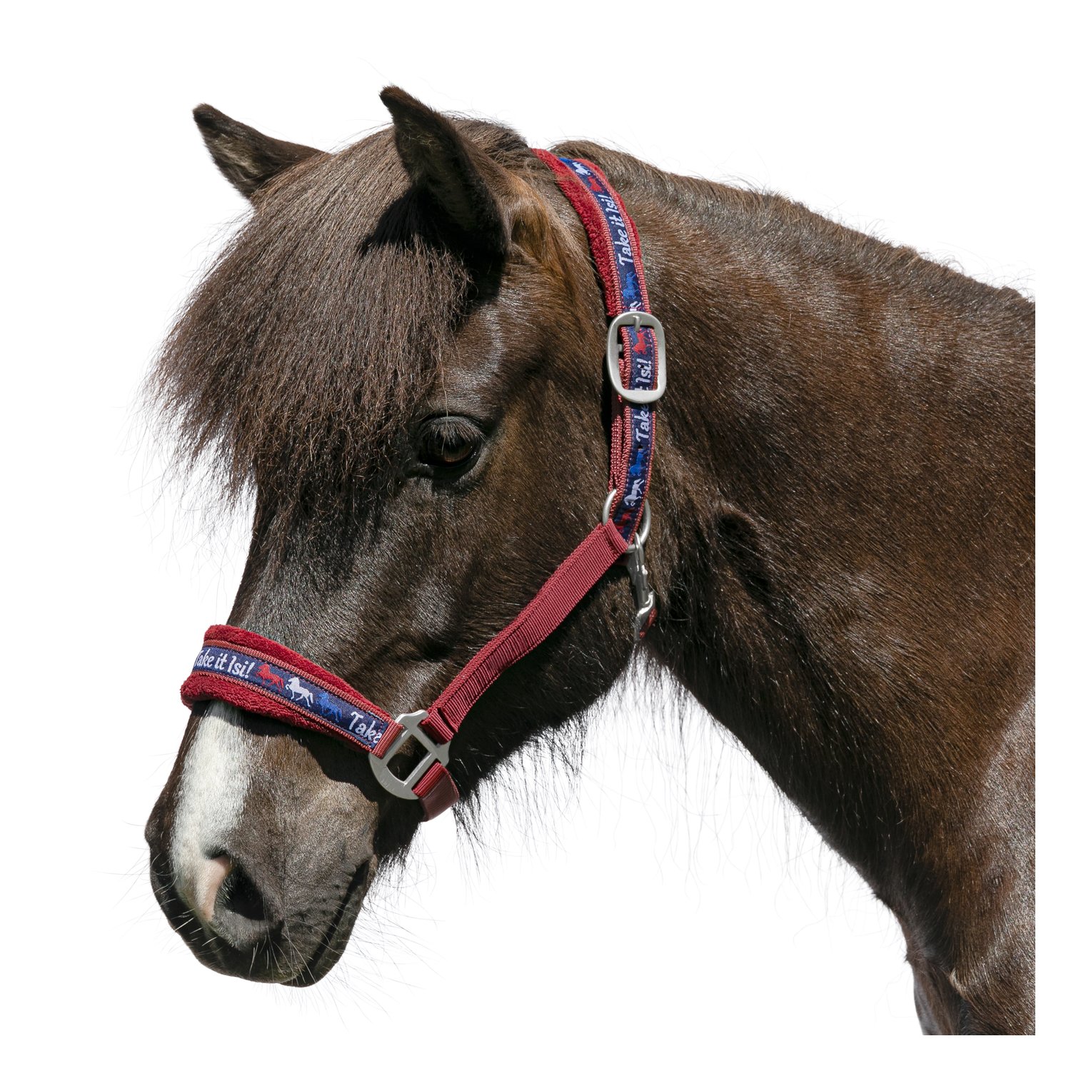 Horse-friends Webhalfter Take it Isi – Ansicht 1