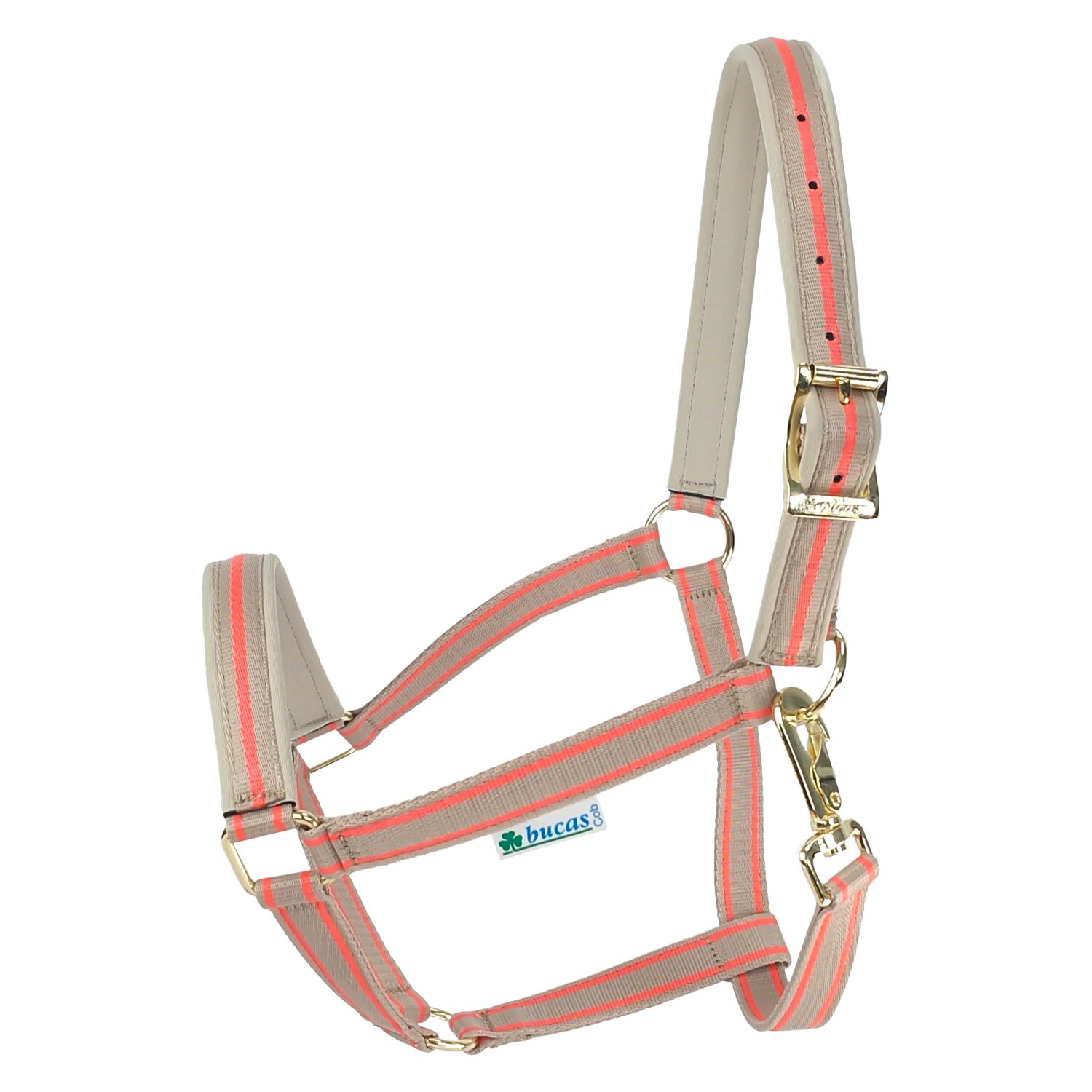 bucas Halfter Dublin – Ansicht 1