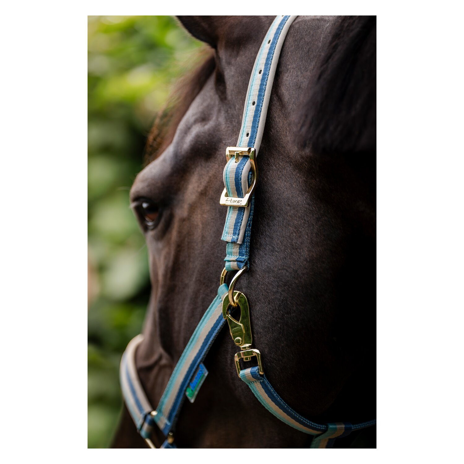 bucas Halfter Dublin &ndash; Ansicht 6