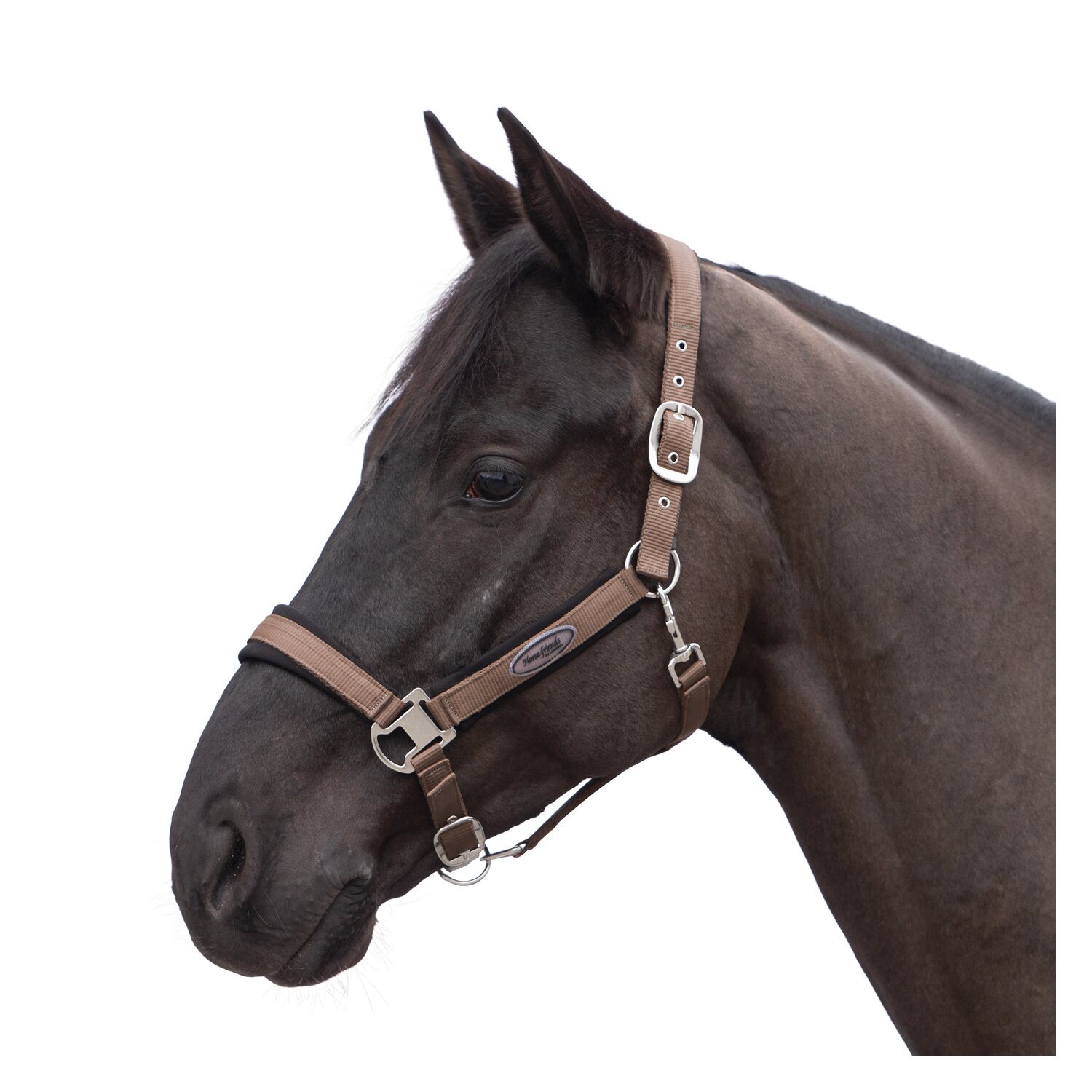 Horse-friends Halfter Seattle – Ansicht 1