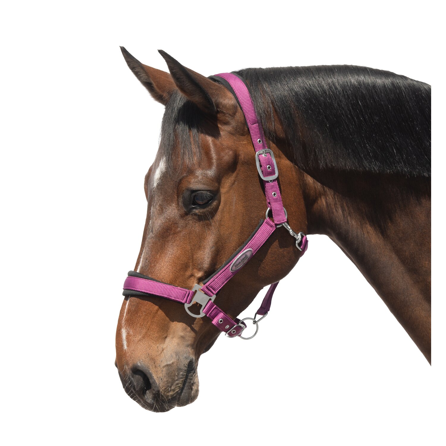 Horse-friends Halfter Seattle – Ansicht 1