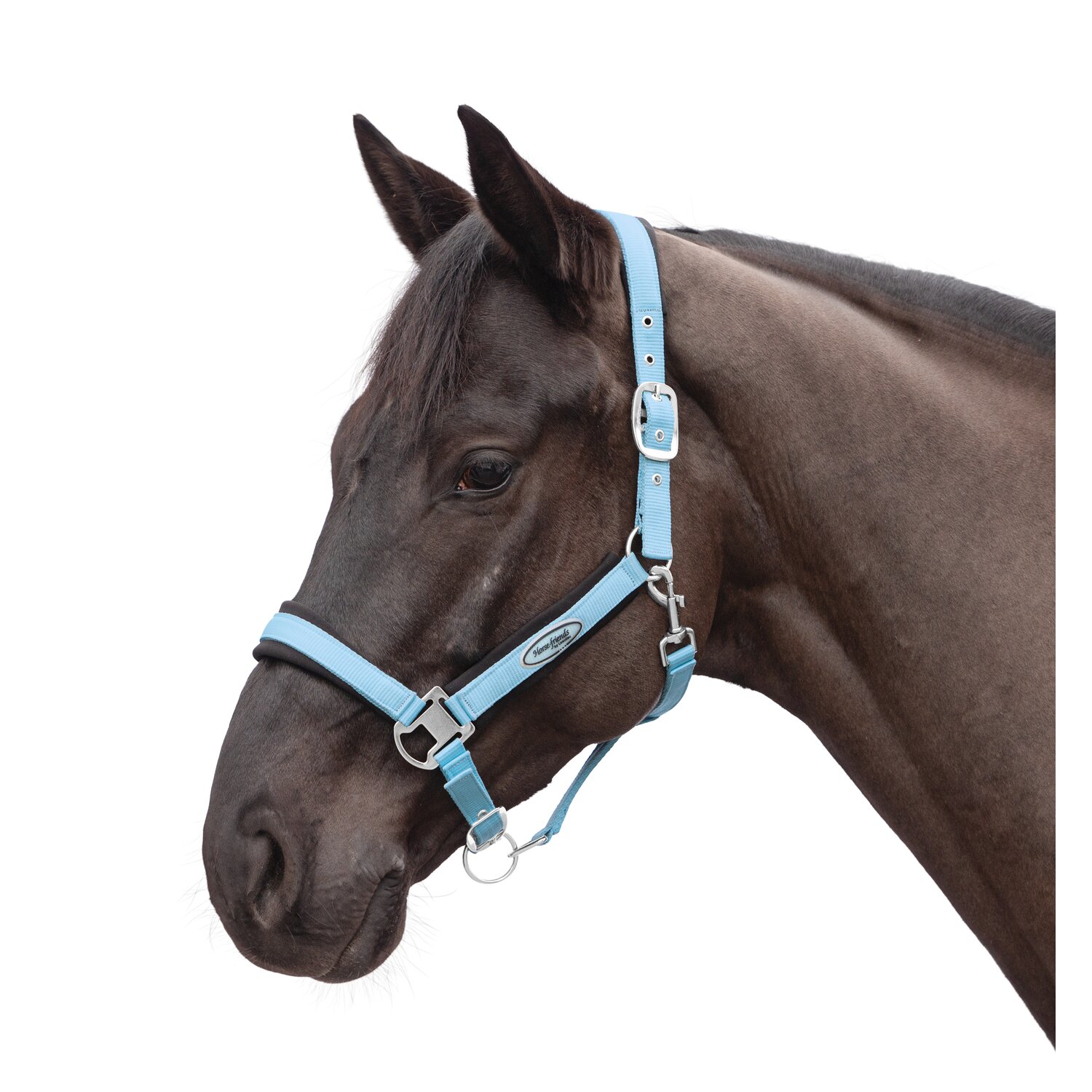 Horse-friends Halfter Seattle – Ansicht 1