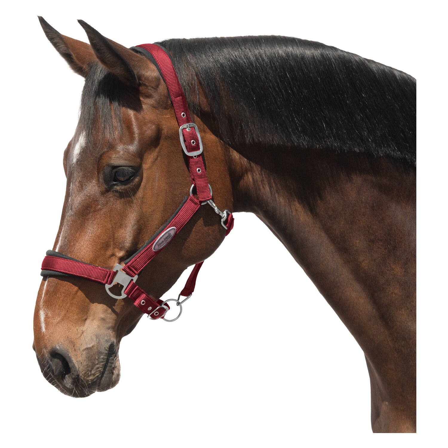 Horse-friends Halfter Seattle &ndash; Ansicht 1