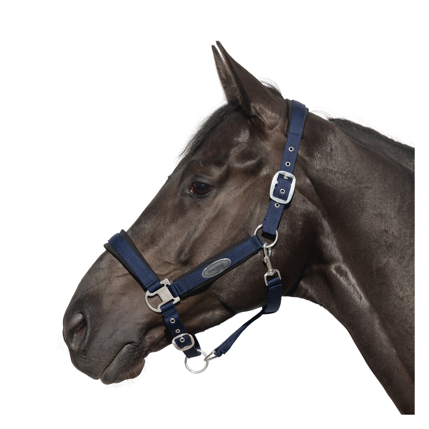 Horse-friends Halfter Seattle – Ansicht 1