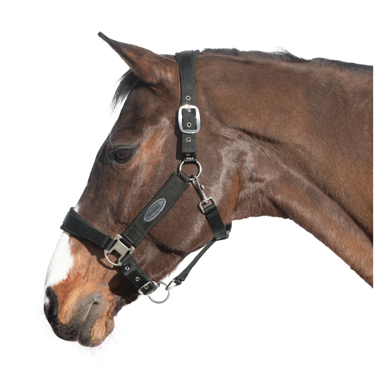 Horse-friends Halfter Seattle – Ansicht 1