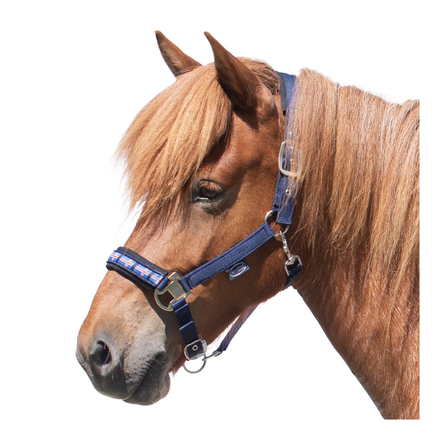 Horse-friends Island-Halfter Keflavik – Ansicht 1